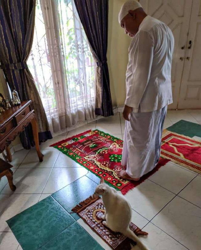 cat gets her own little rug so she can join her family's prayer time