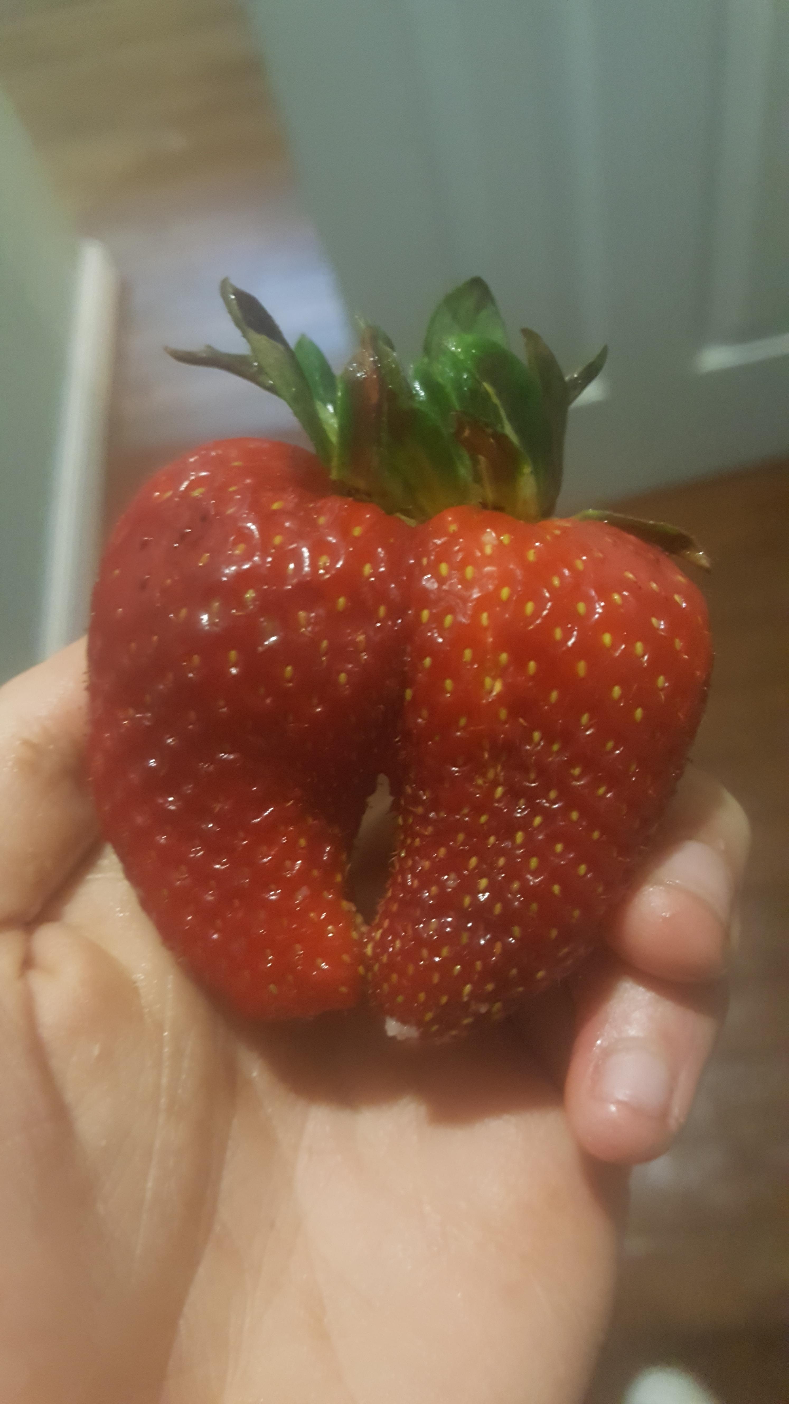 2 strawberries stuck together r/mildlyinteresting
