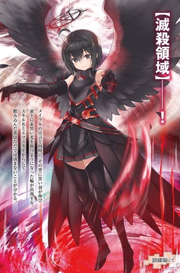 Maple Fallen Angel Shape Volume 10 Light Novel BoFuri