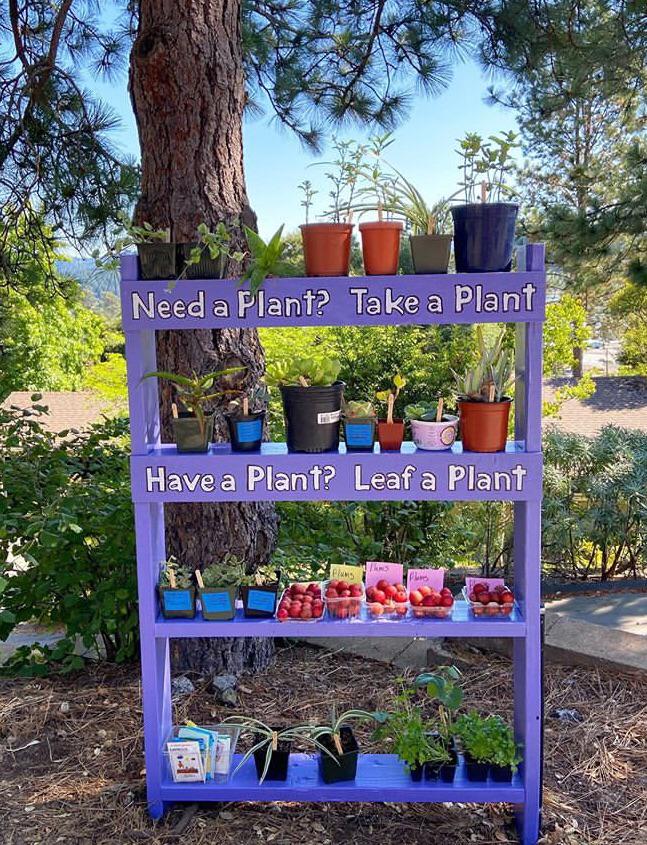 Take a plant, leave a plant! 💕 r/pics