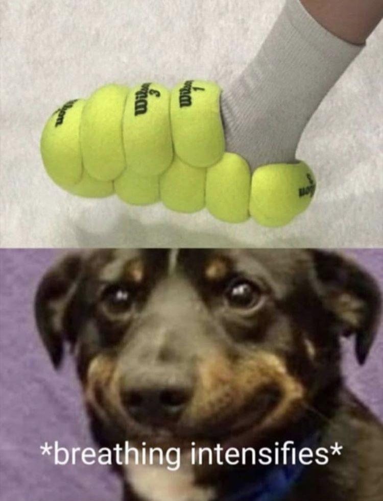 Those tennis balls will soon turn red funny