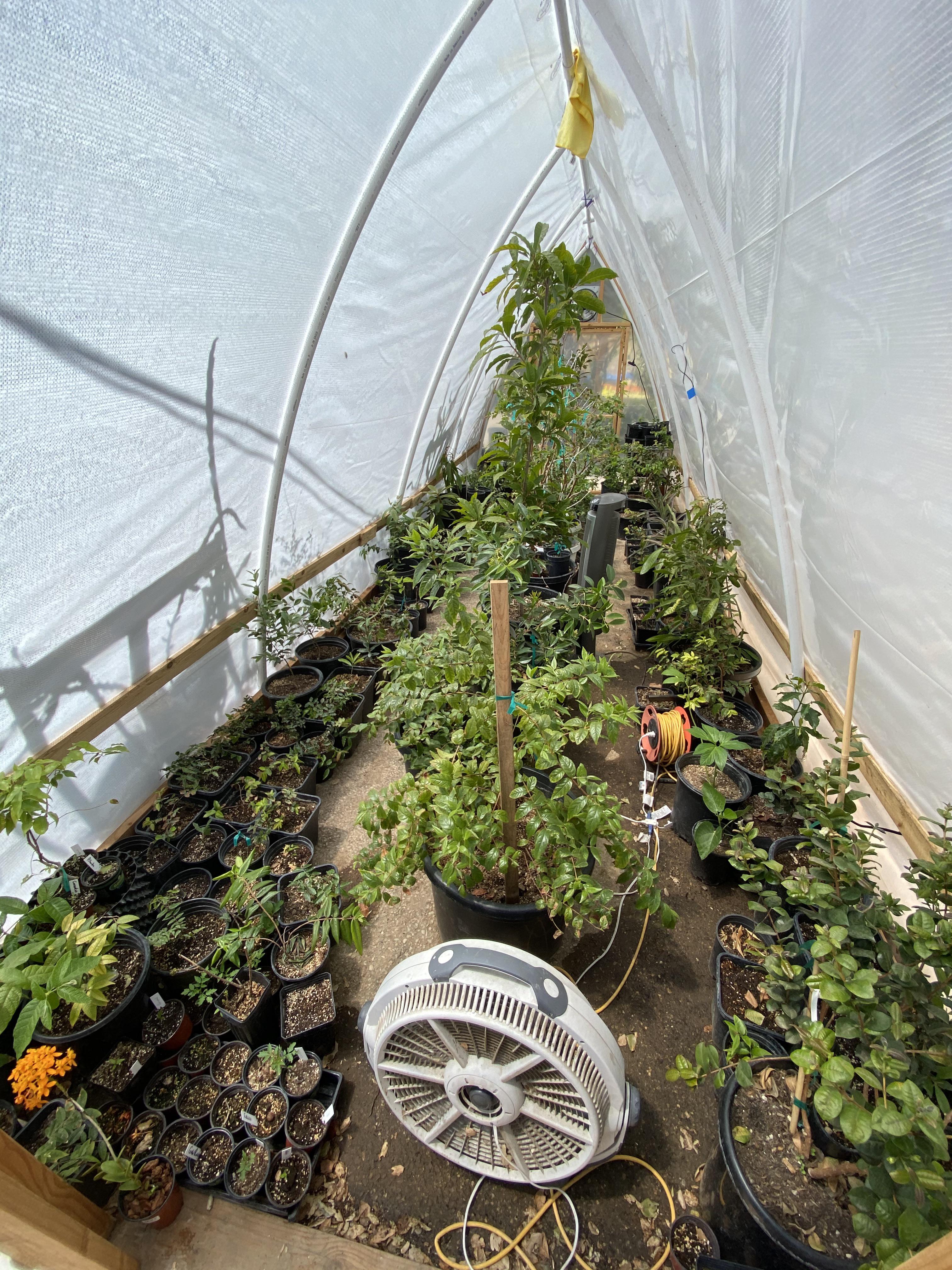 50 shade cloth on the greenhouse. Let’s see how it goes. It gets well