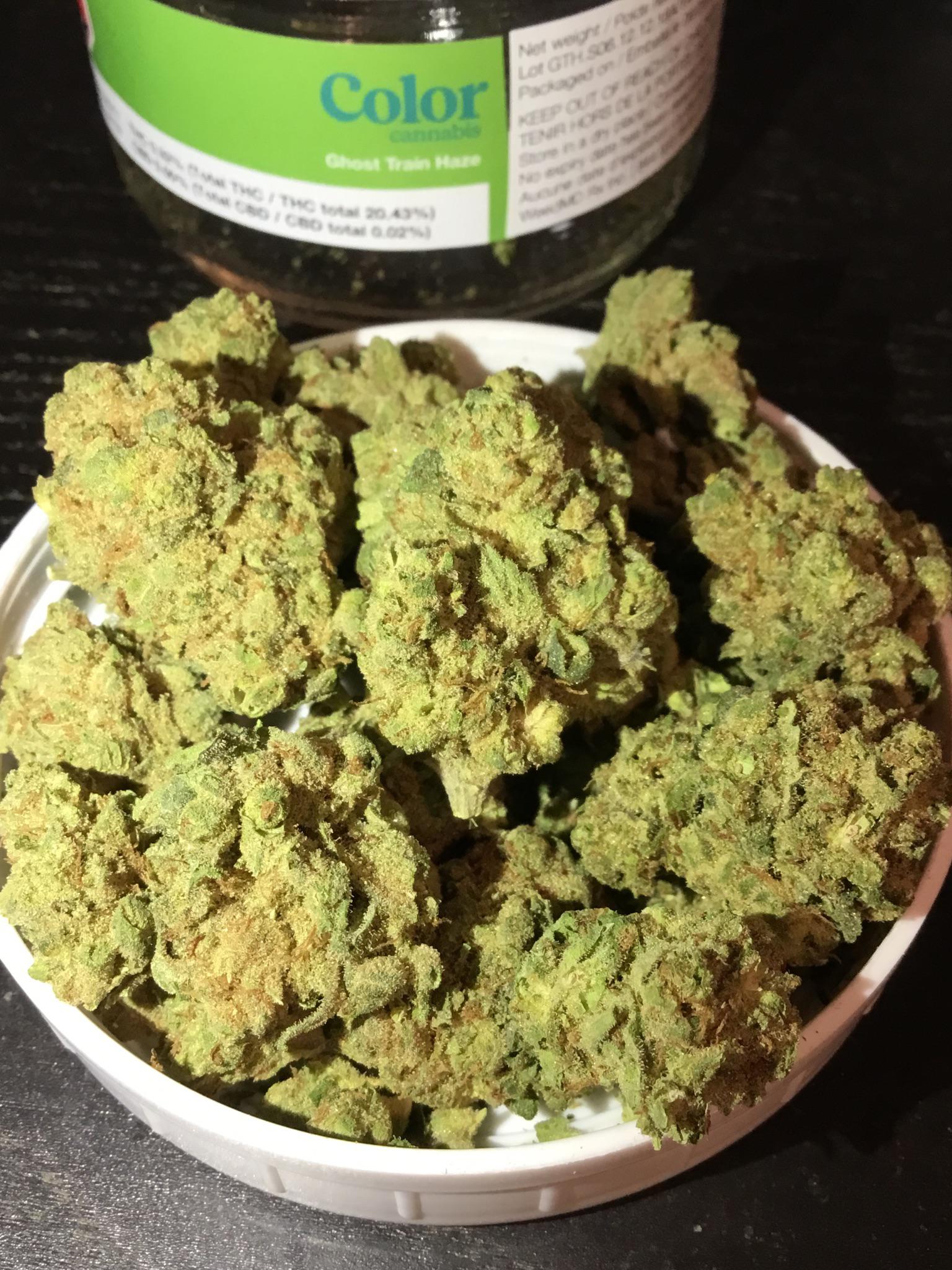 Color Ghost Train Haze 🐈💦 THC 20.43 RecPics