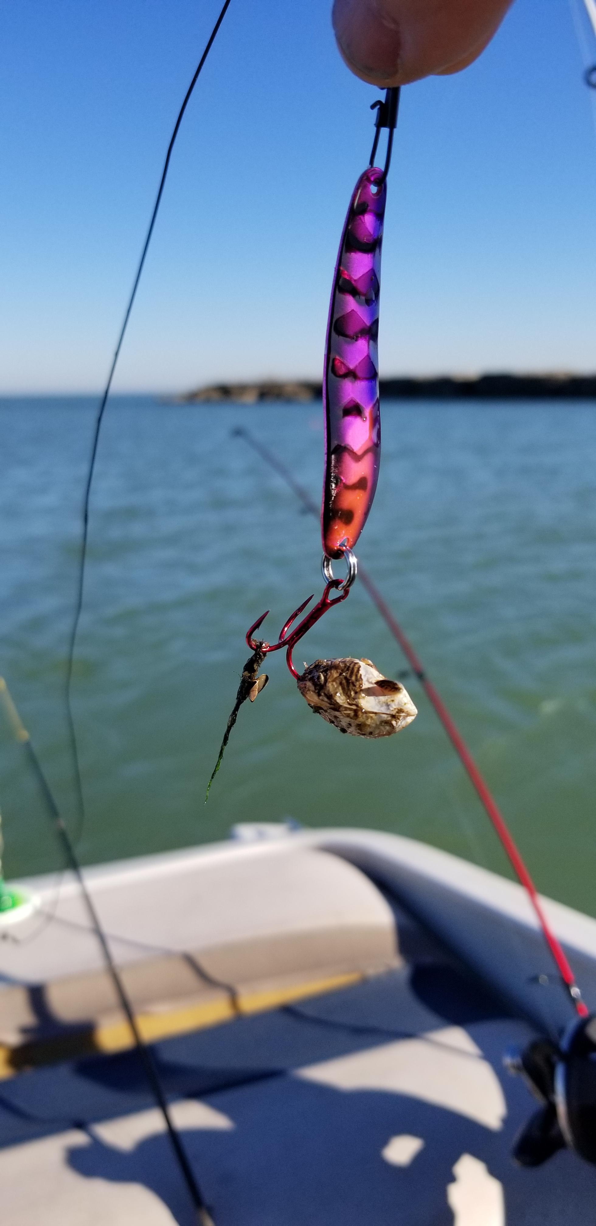 Lake Erie fall brawl. At least I didnt get skunked... r/Fishing