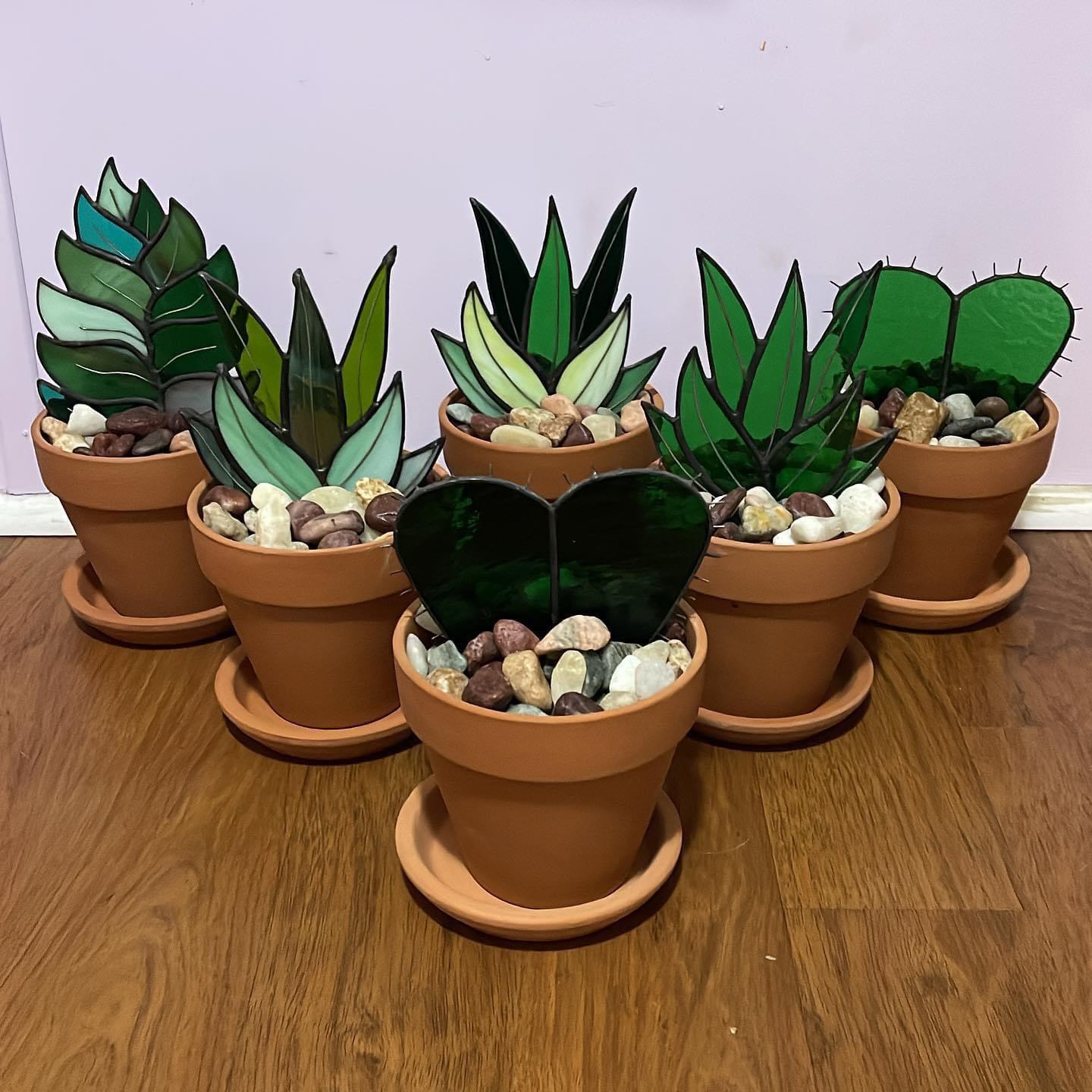 [OC] Stained glass succulents r/succulents