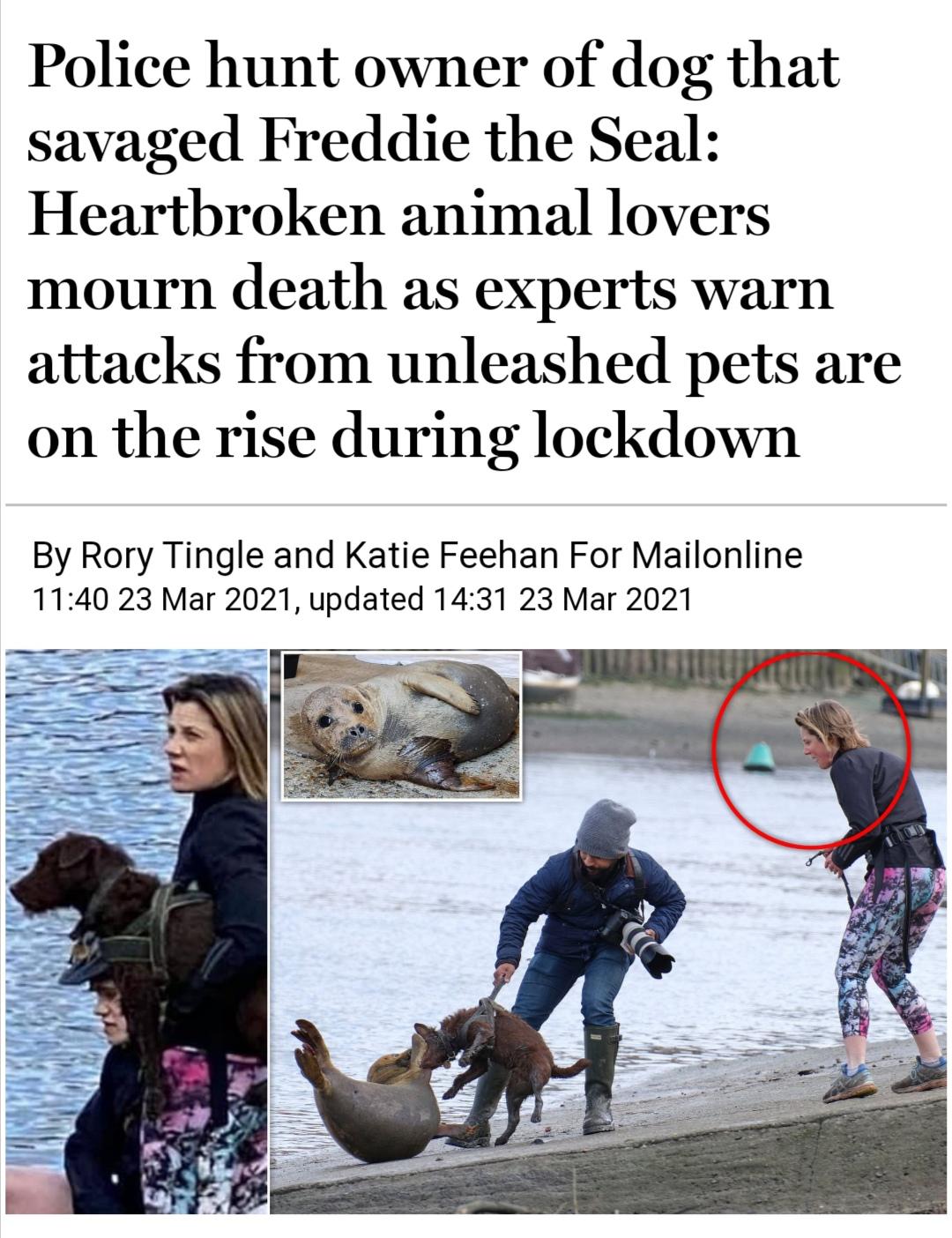 Keep your dogs on a damn leash. r/iamatotalpieceofshit