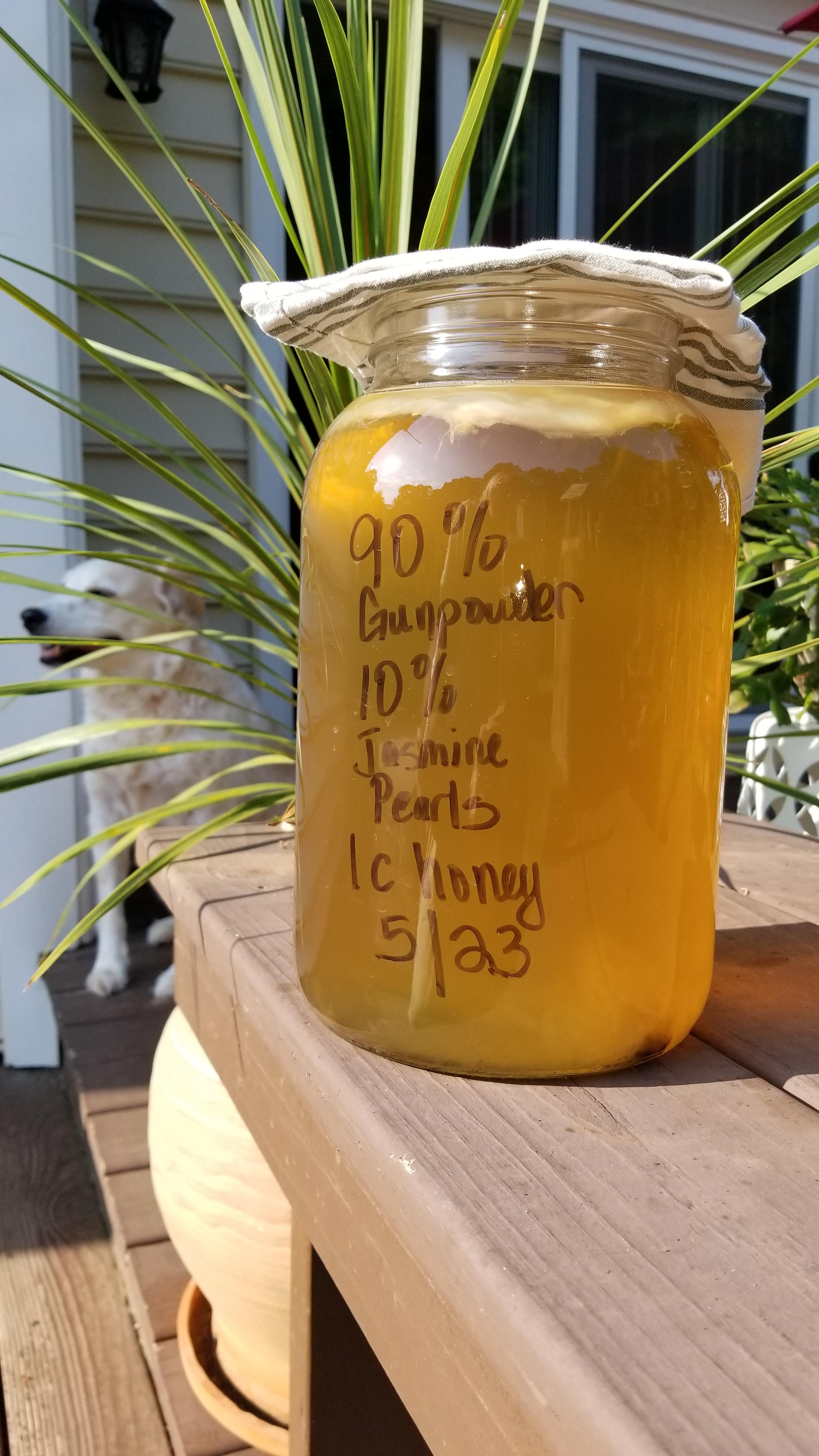 Trying to convert my Kombucha Scoby to green tea and honey. Day 1 r