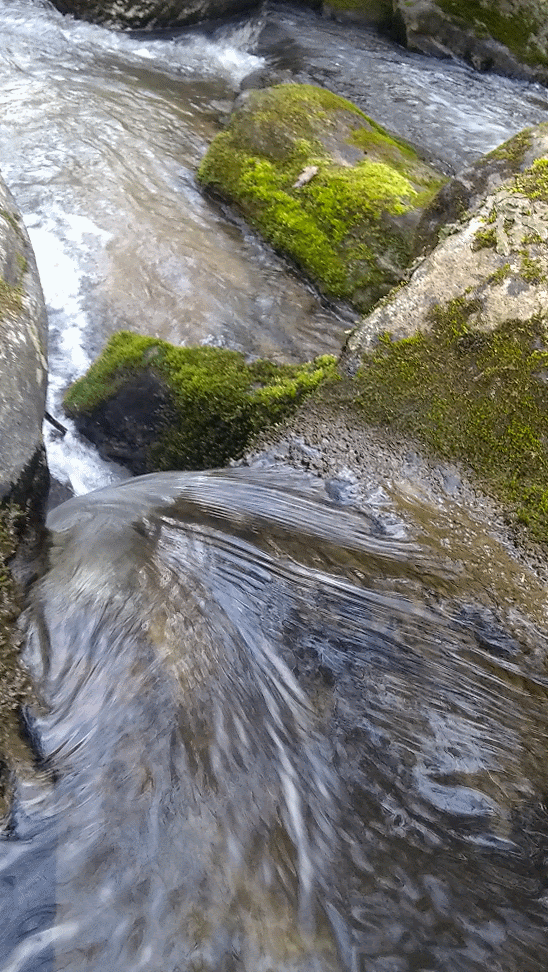 Cedar Creek, Western NC r/Creeks