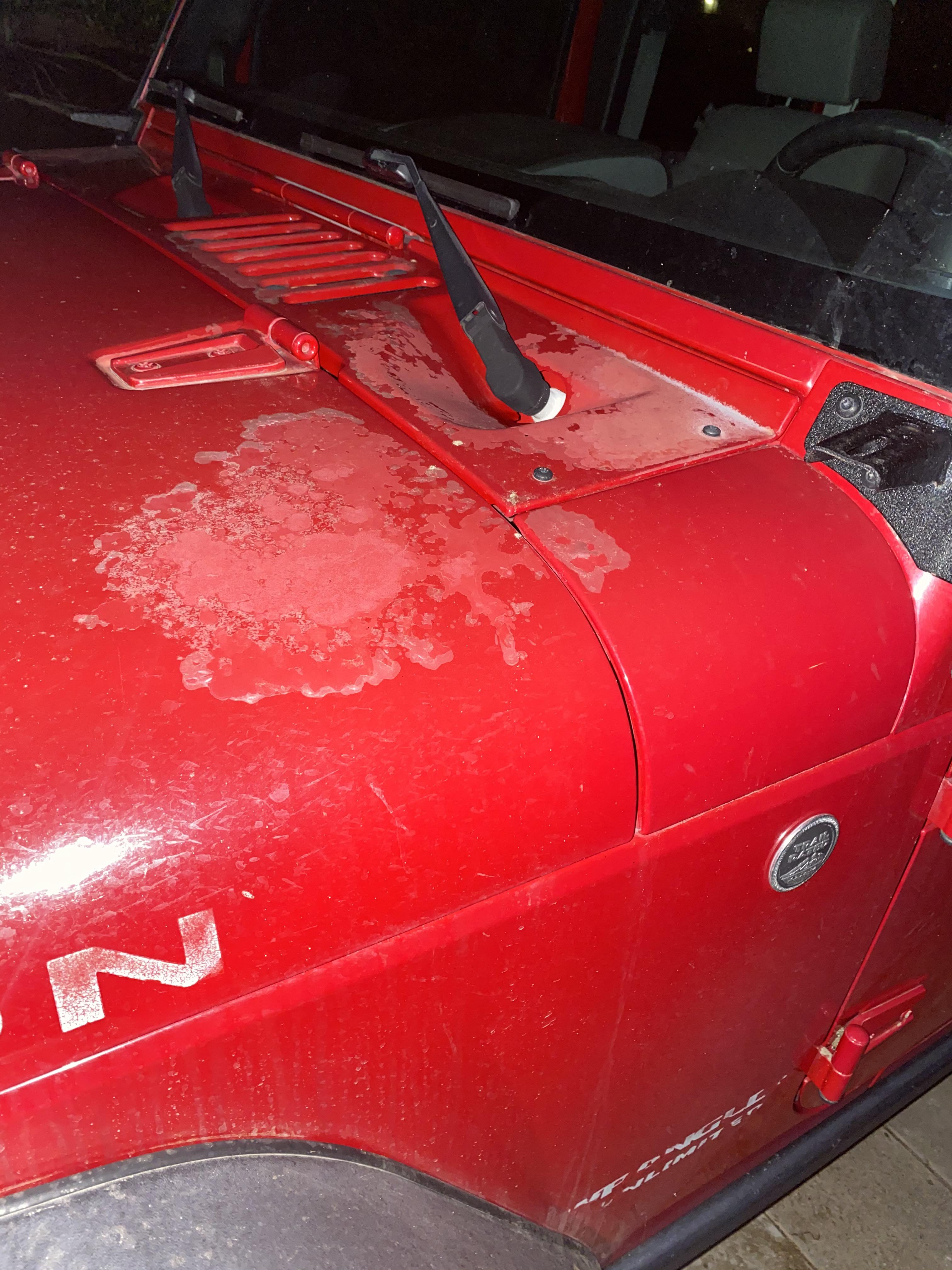 I hate faded paint/ clear coats. Should I try to fix it myself? Have it