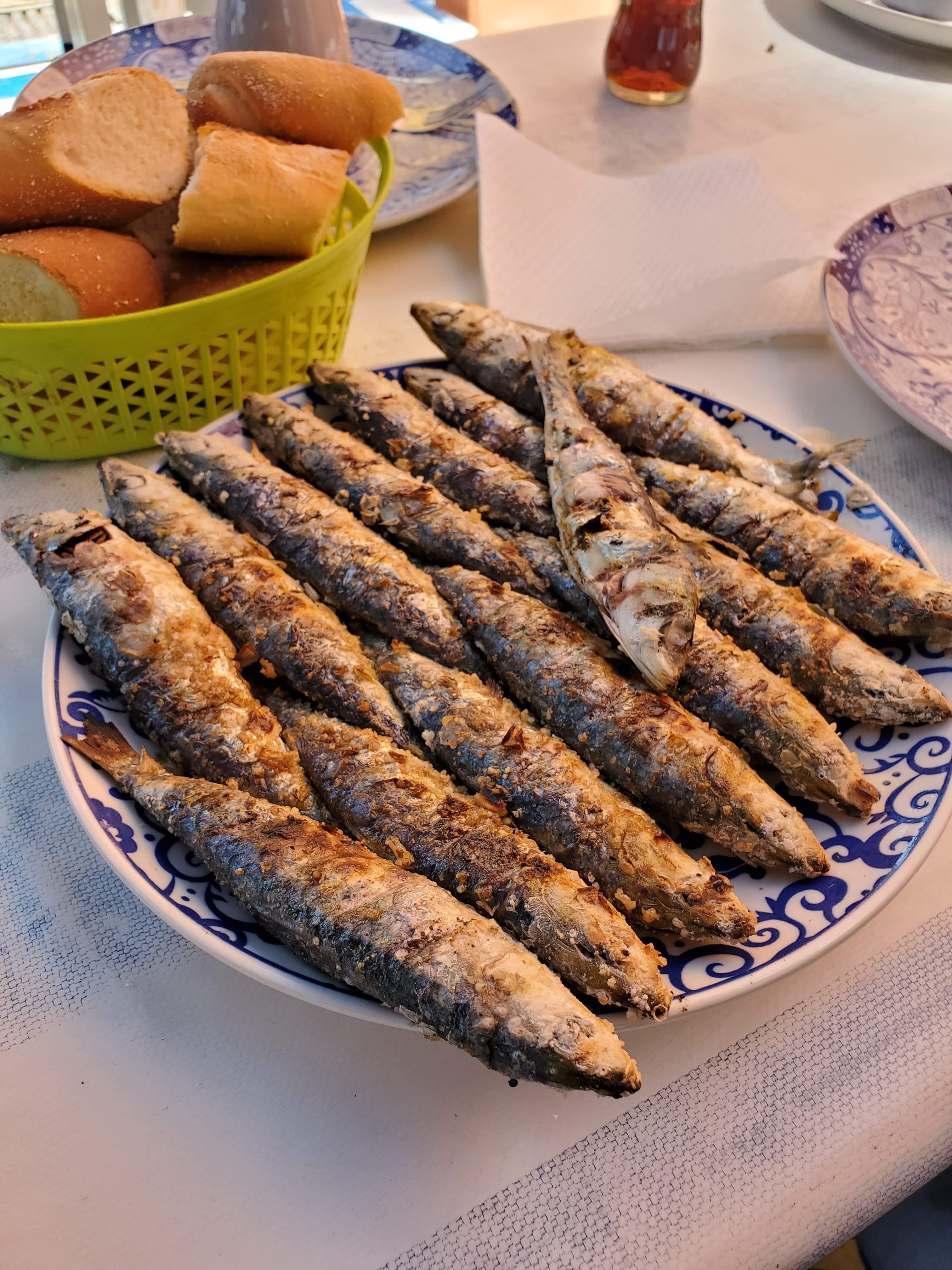 Grilled Sardines outside the Port of Essaouira!! Mre7ba! r/Morocco