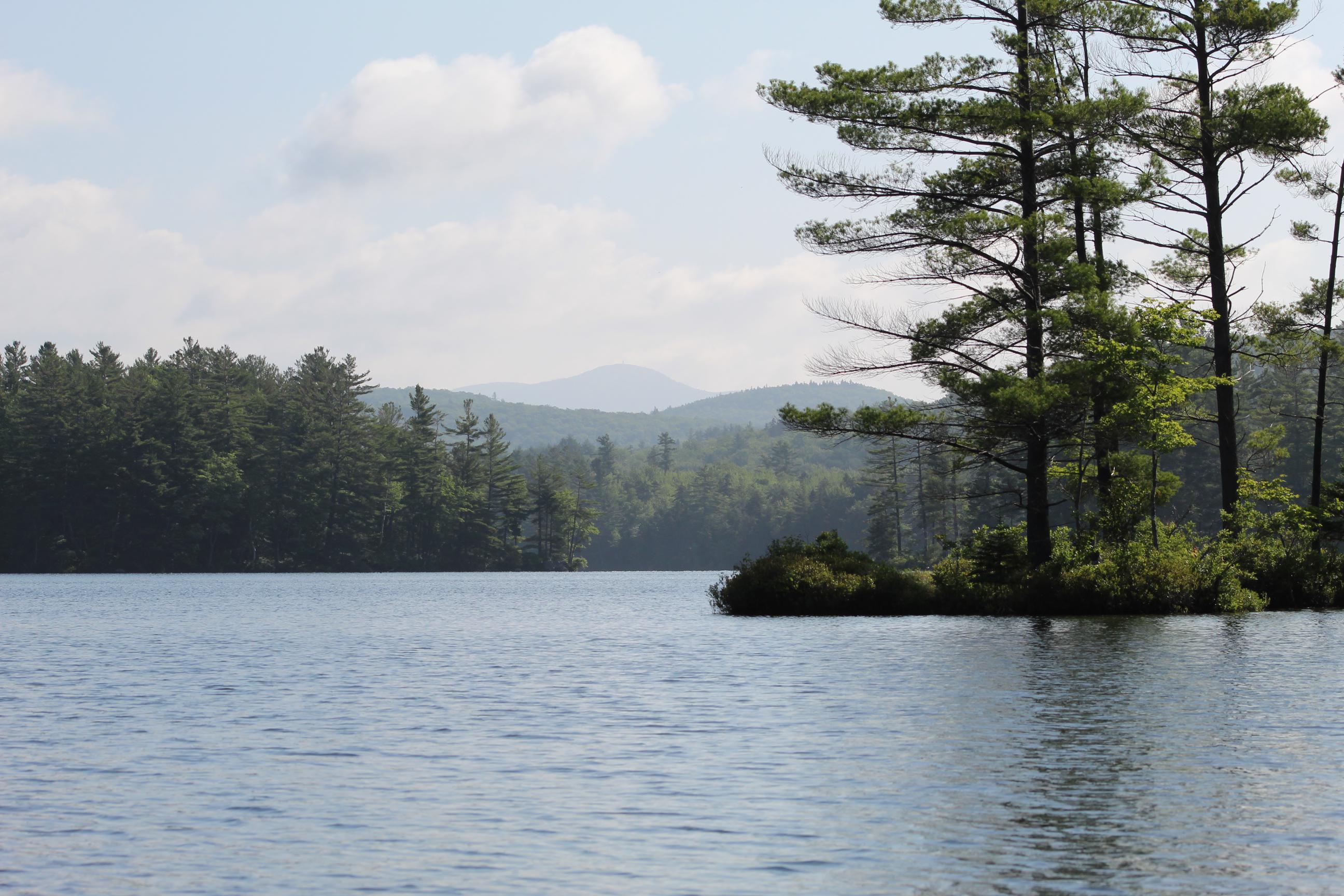 The view this morning from grafton pond r/newhampshire