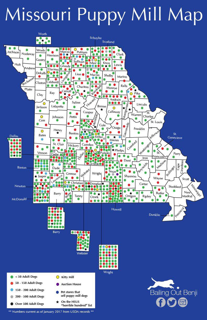 Puppy mills by county in the state of Missouri (one of the worst states