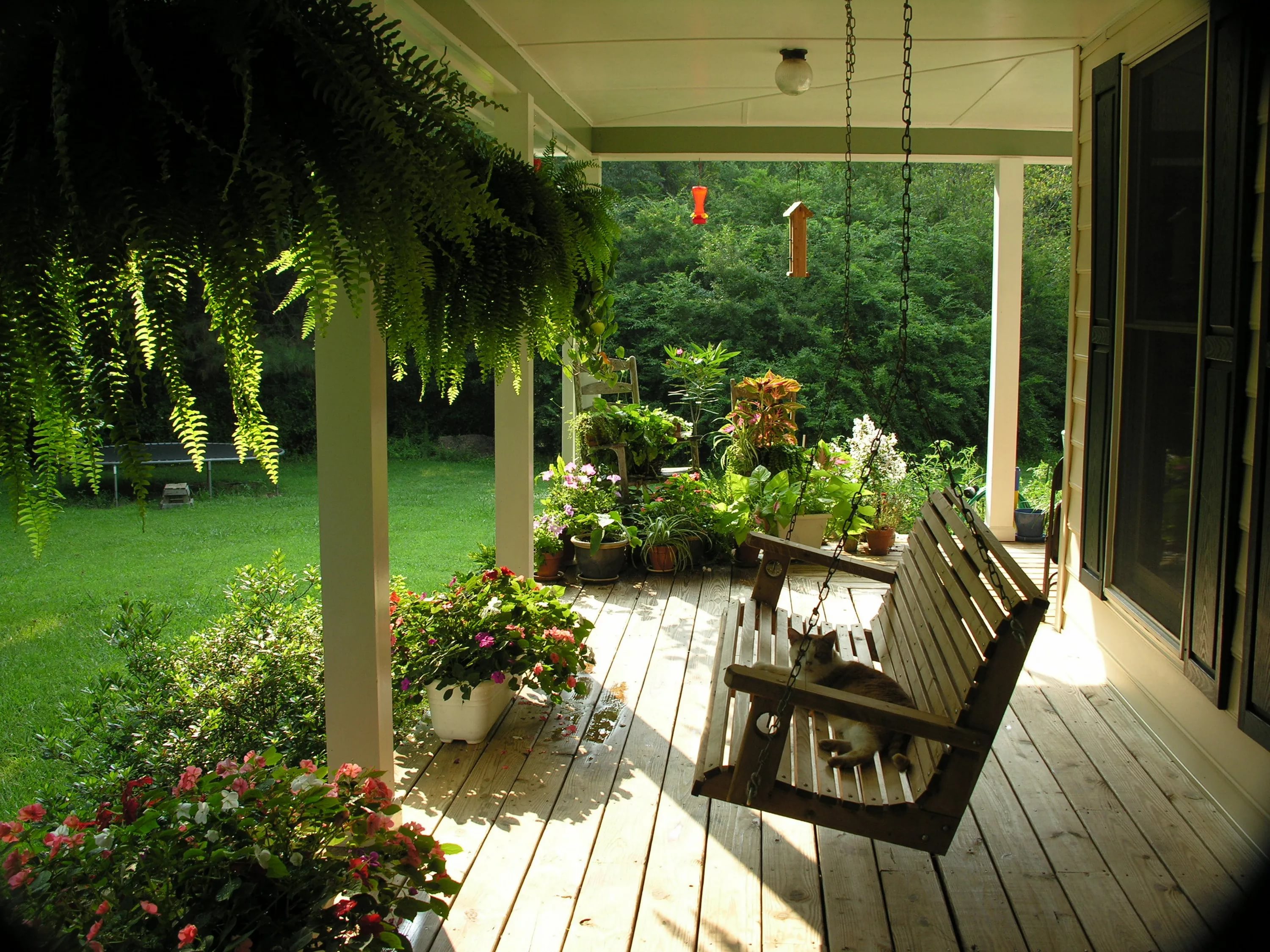 Porch Swing r/CozyPlaces