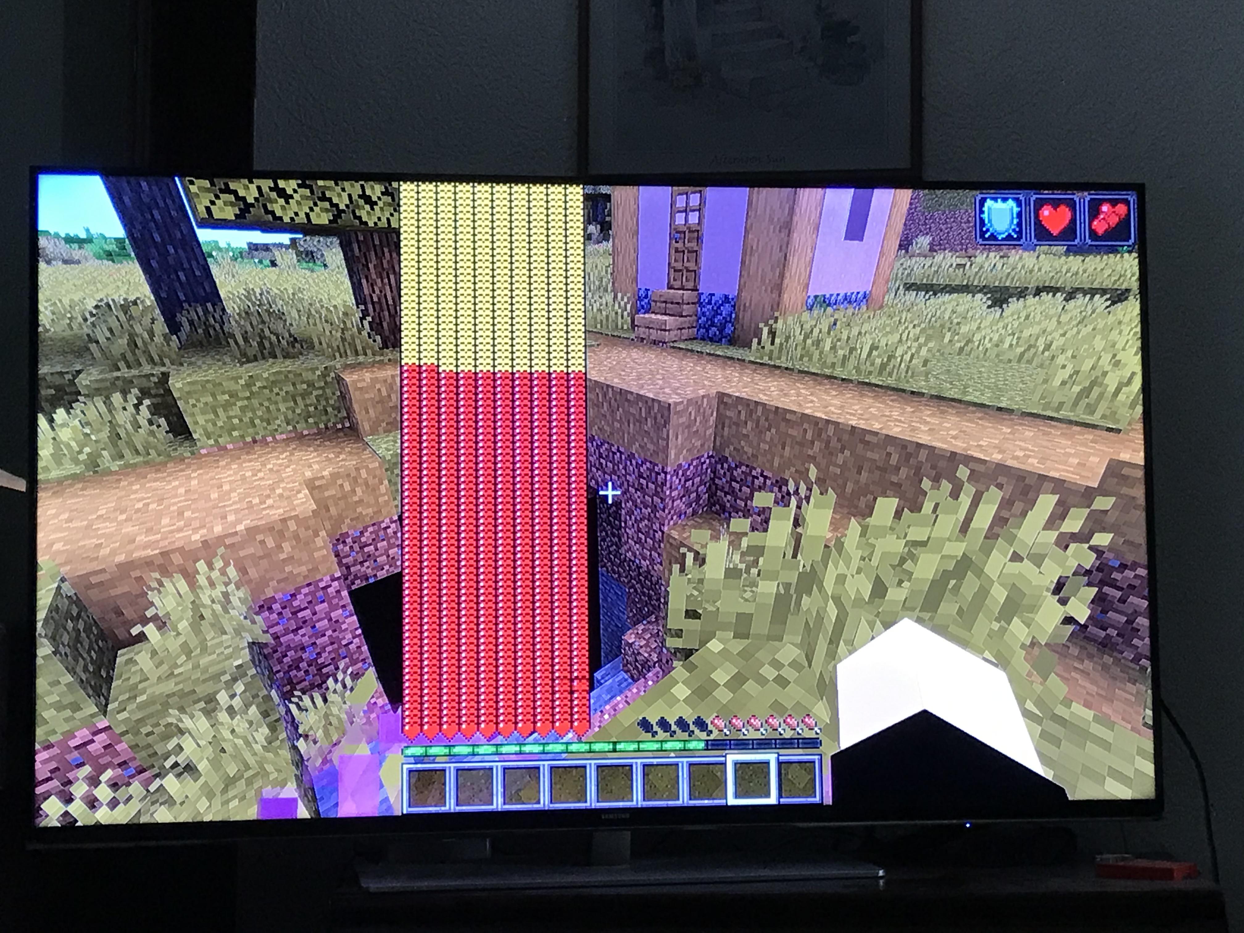 I look healthy r/Minecraft