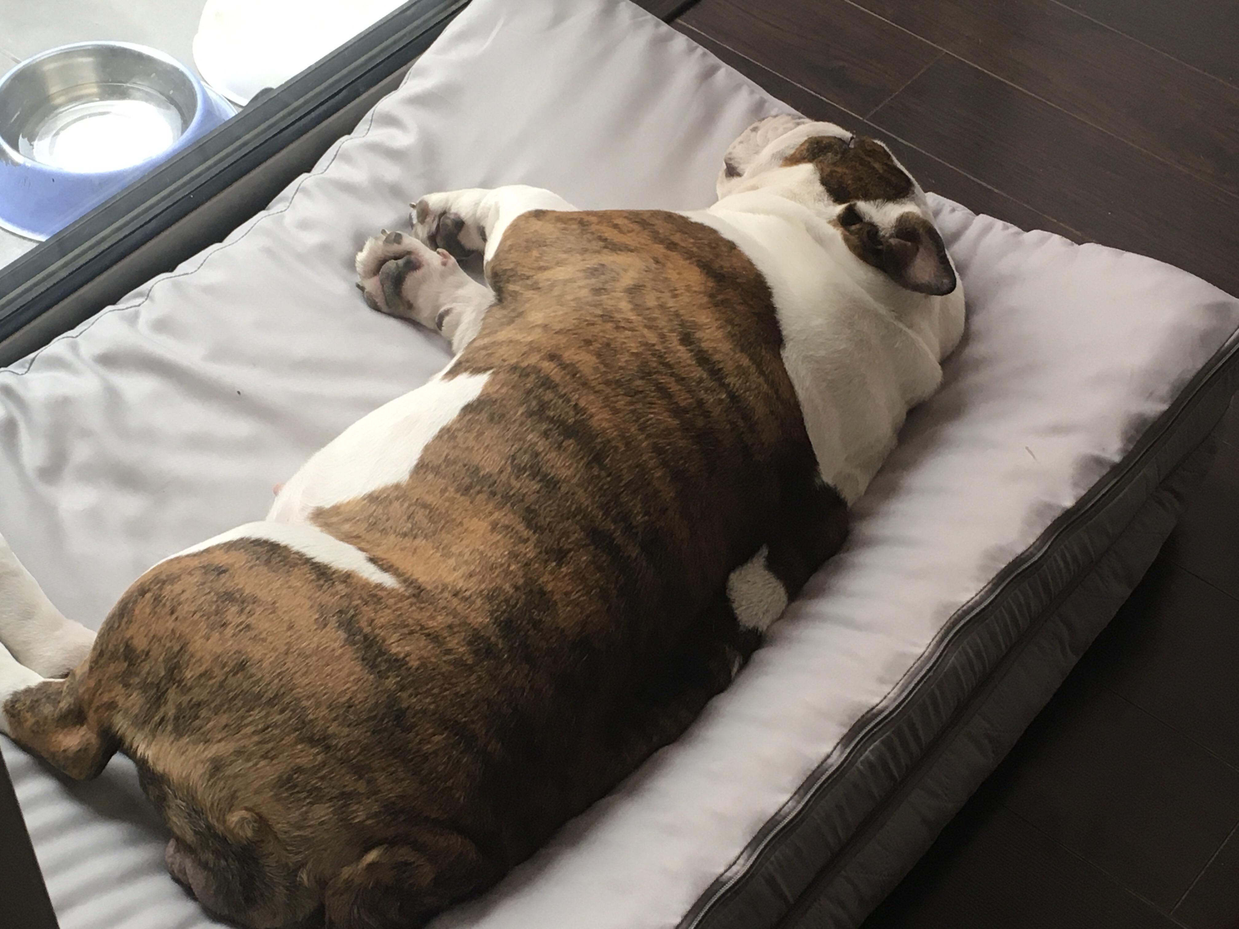 Turned her bed upside down so that she wouldnt lay on it while i