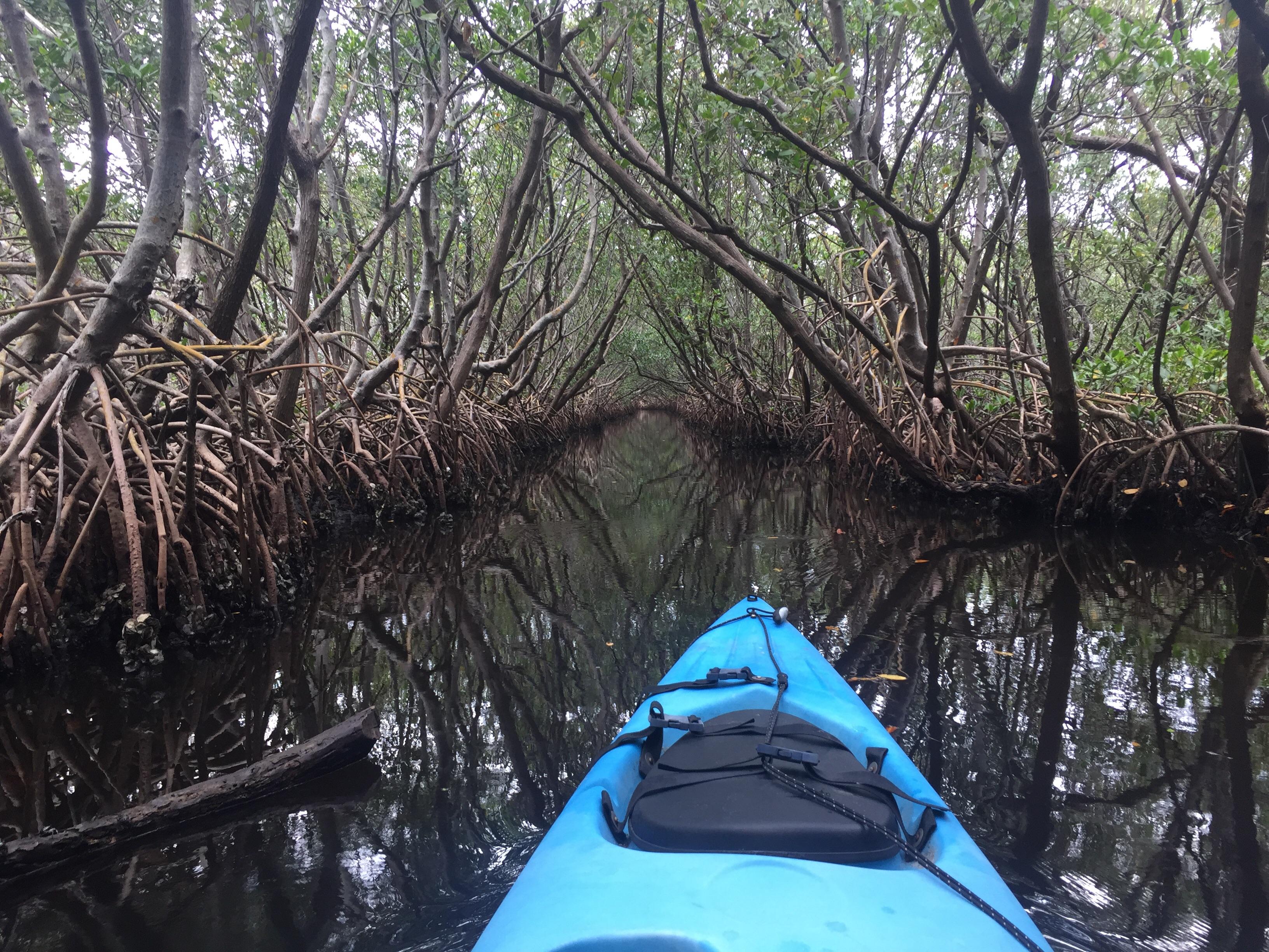 The majestic side of Florida. Weedon Island Preserve, St. Petersburg