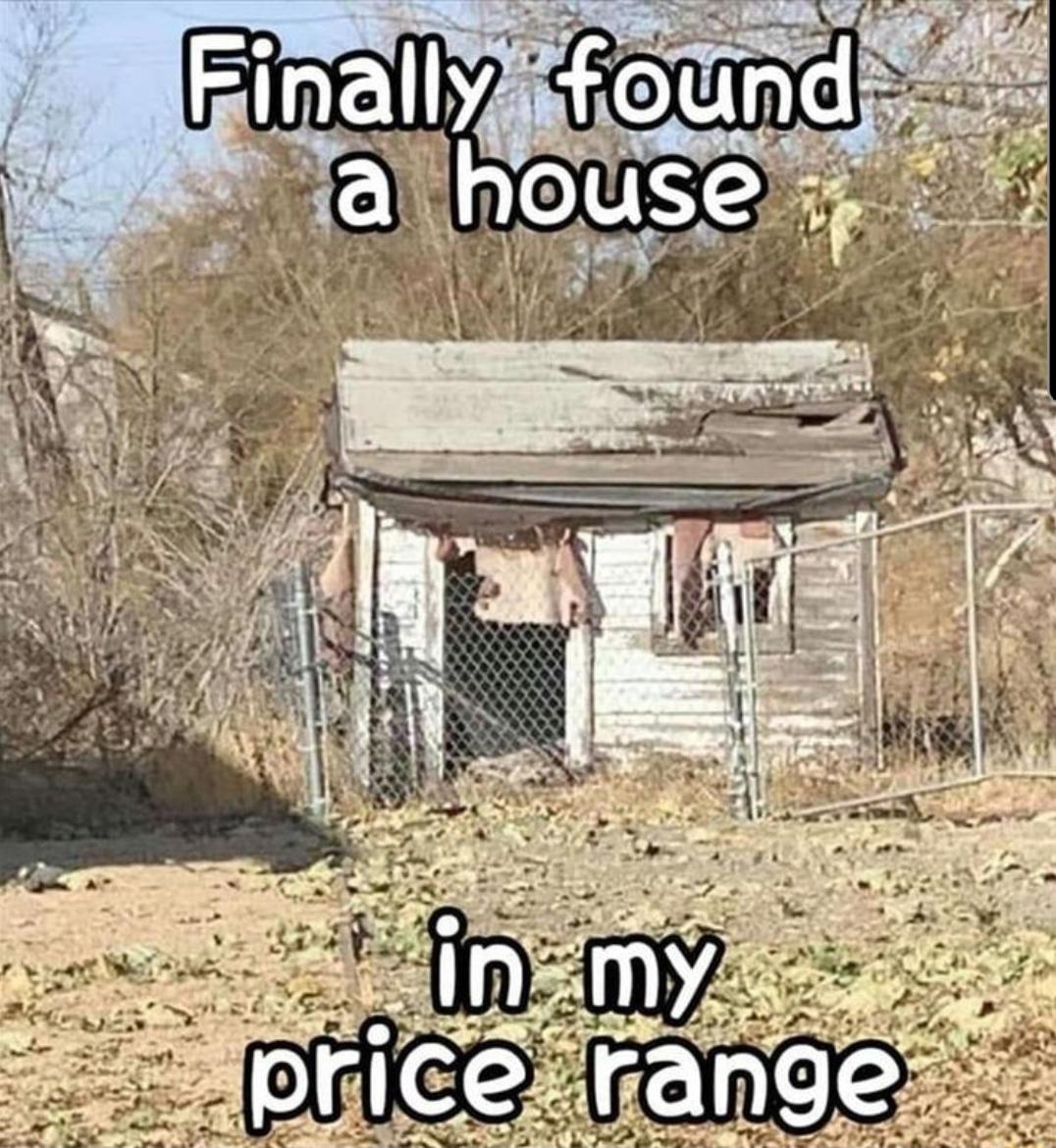 338 best Housing Crisis images on Pholder Ireland, Newzealand and A Boring Dystopia