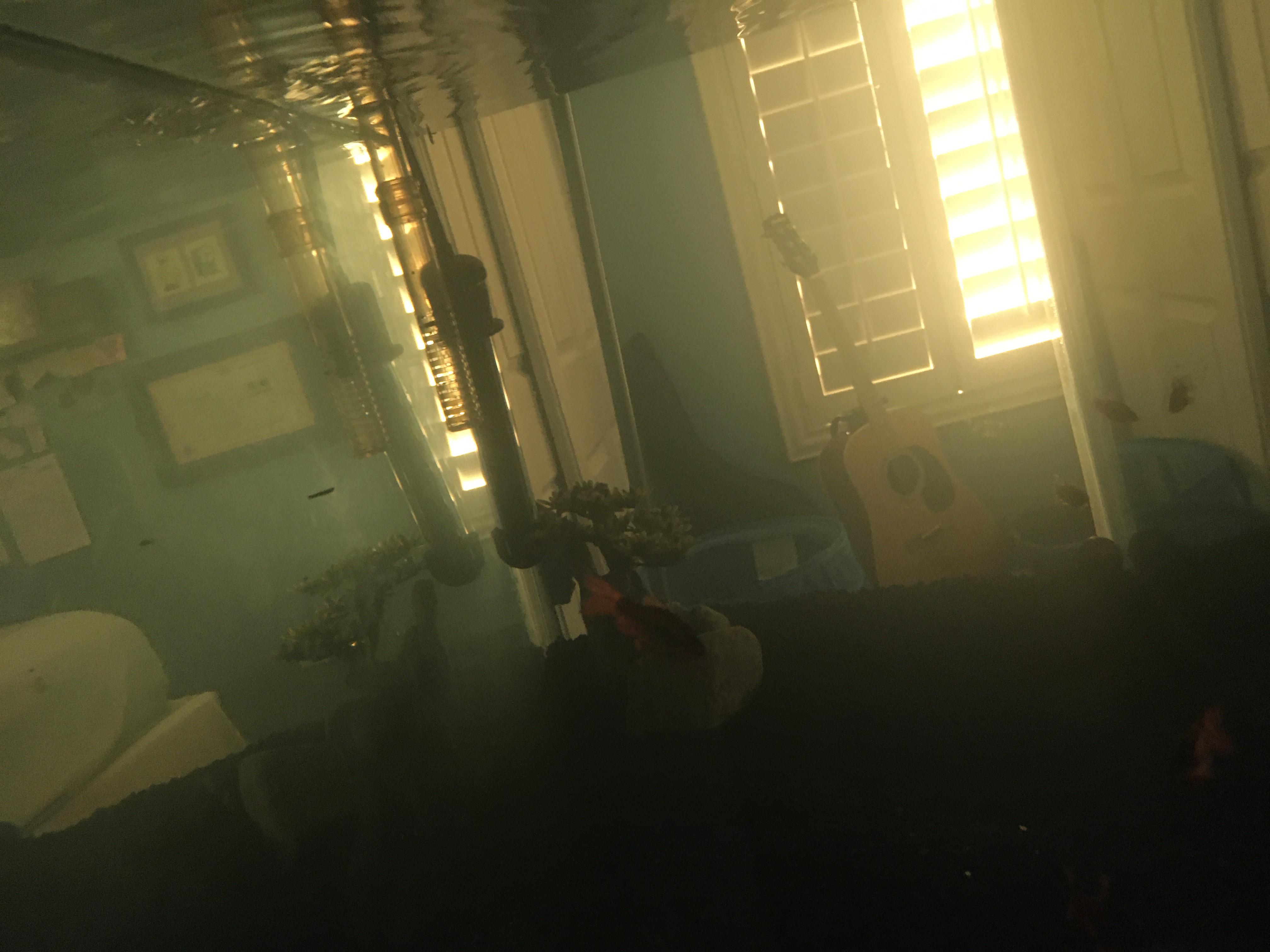 My tank water has a green tint to it and I’m not sure why. I’ve done 50 water changes, scrubbed