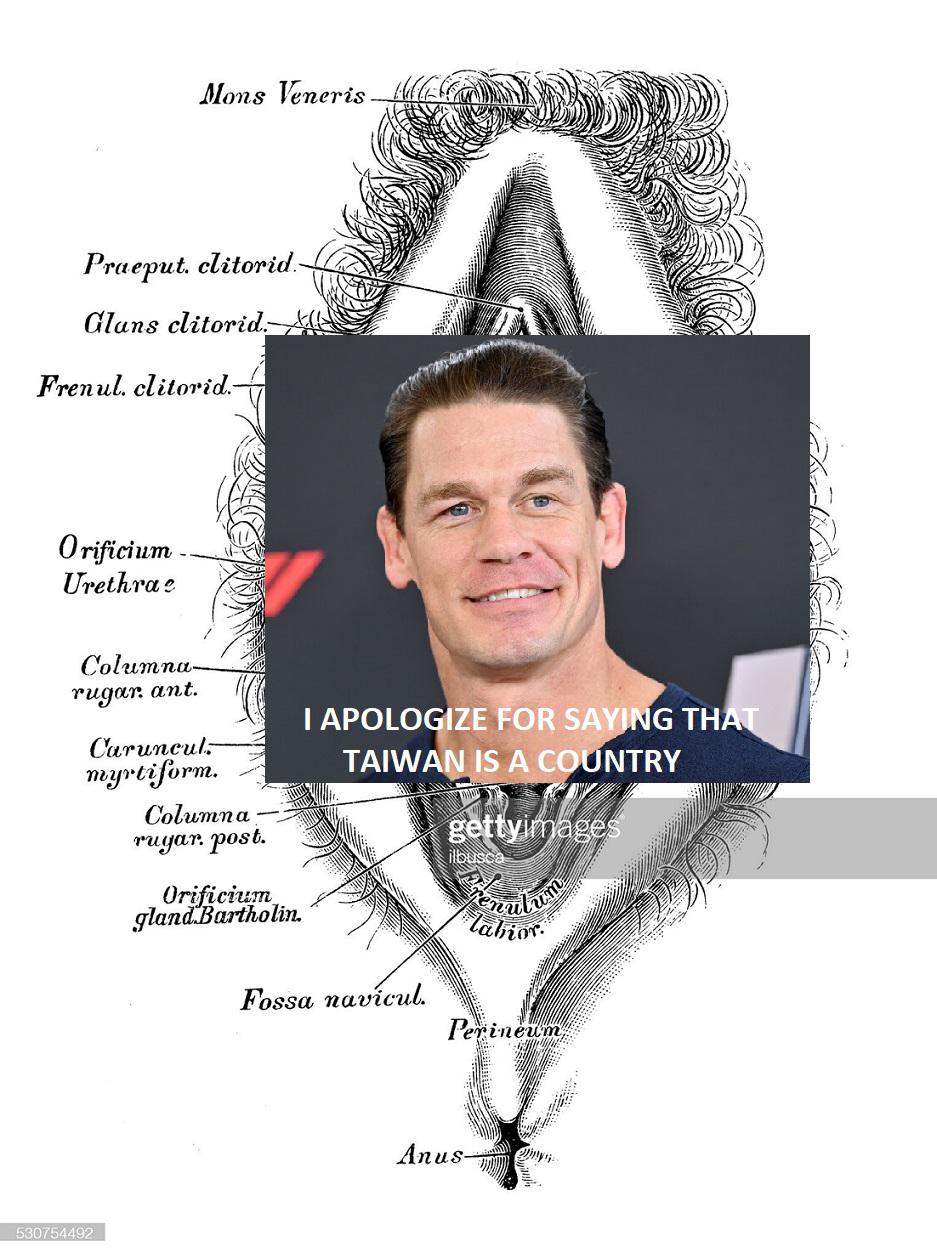 John Cena China Meme / What Do You Think Of John Cena Apologizing To