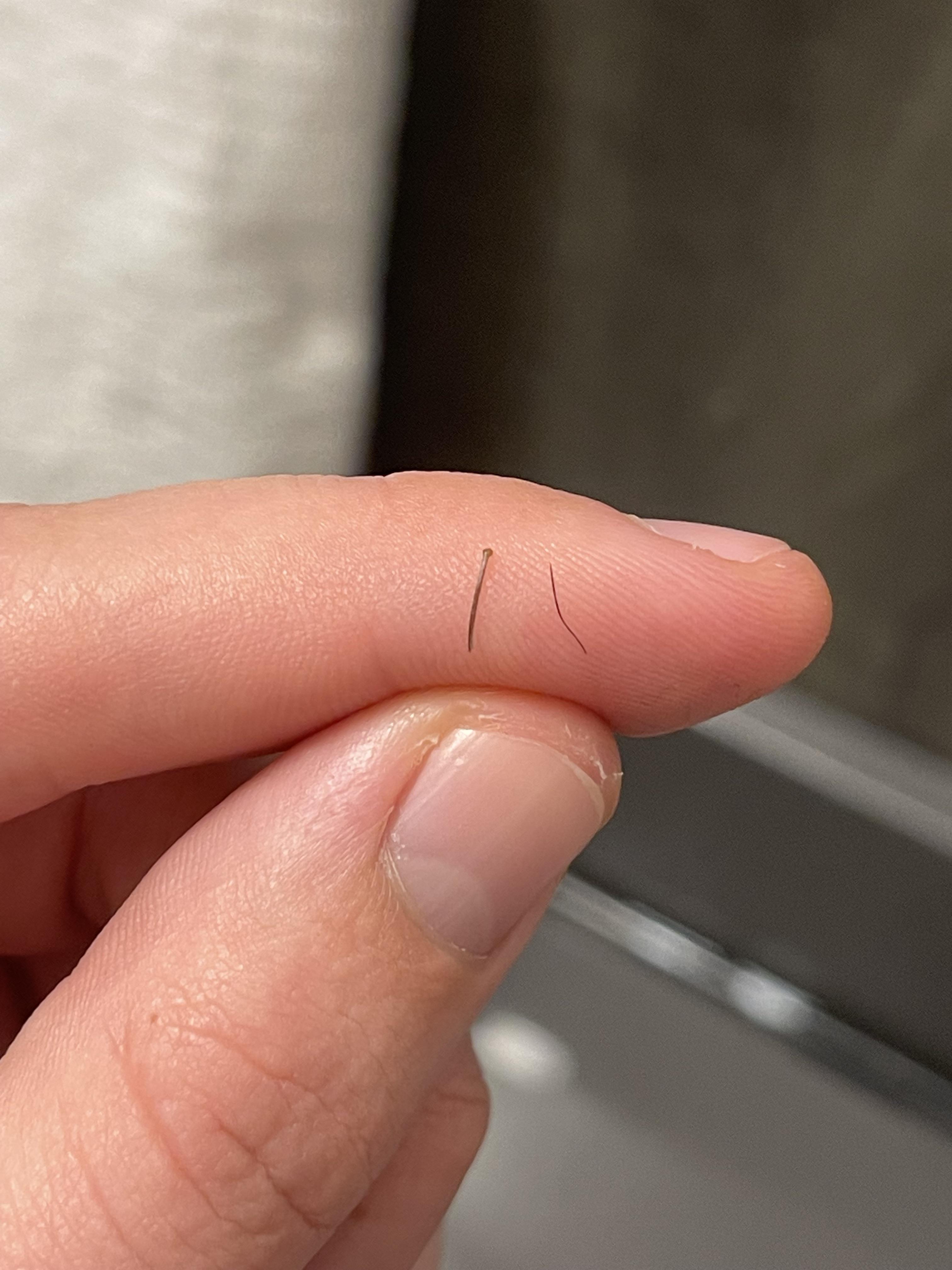 Occasionally I have facial hairs grow that are multiple times thicker