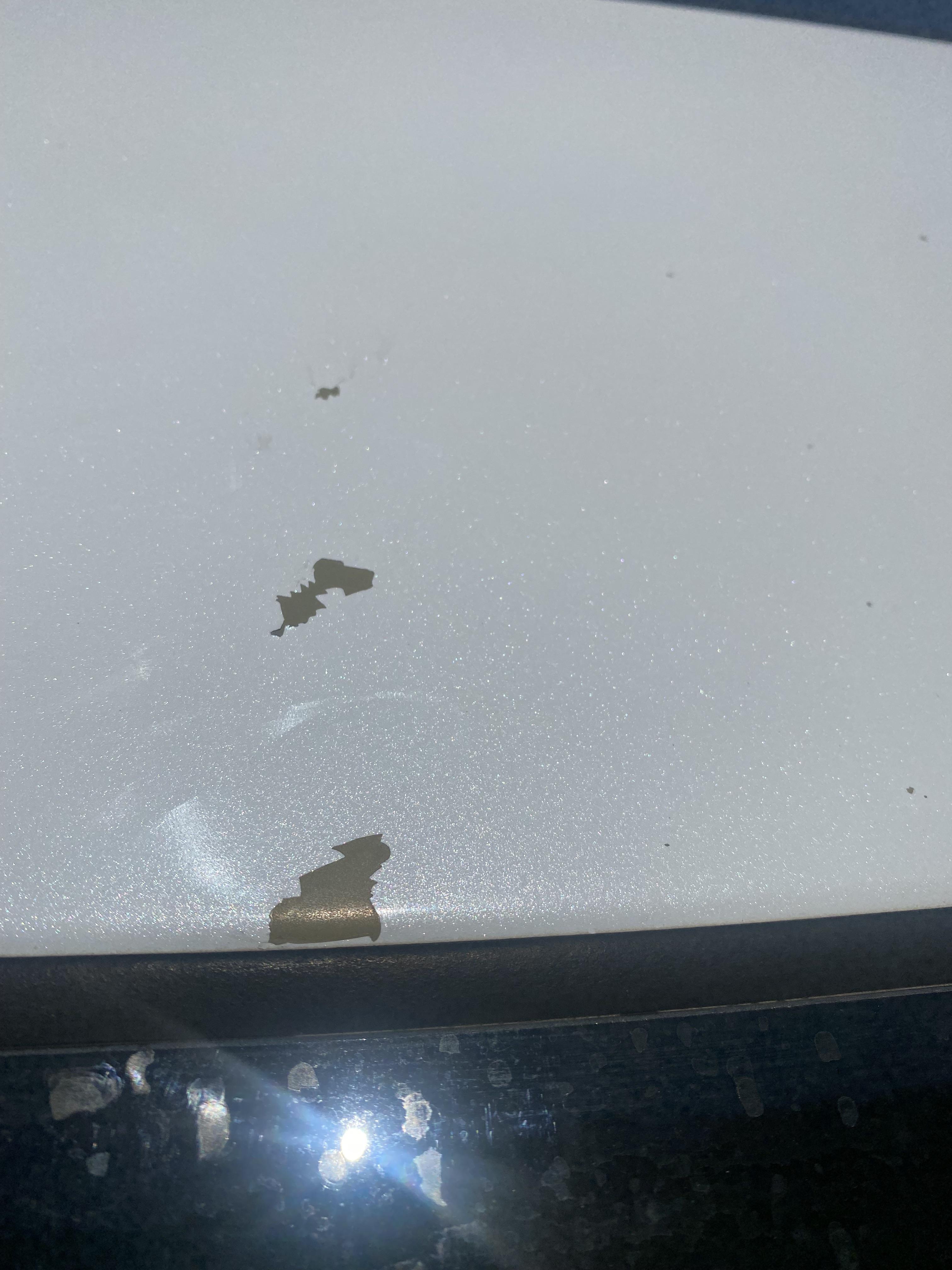 Has anyone had experience with Honda paint warranty? r/HRV