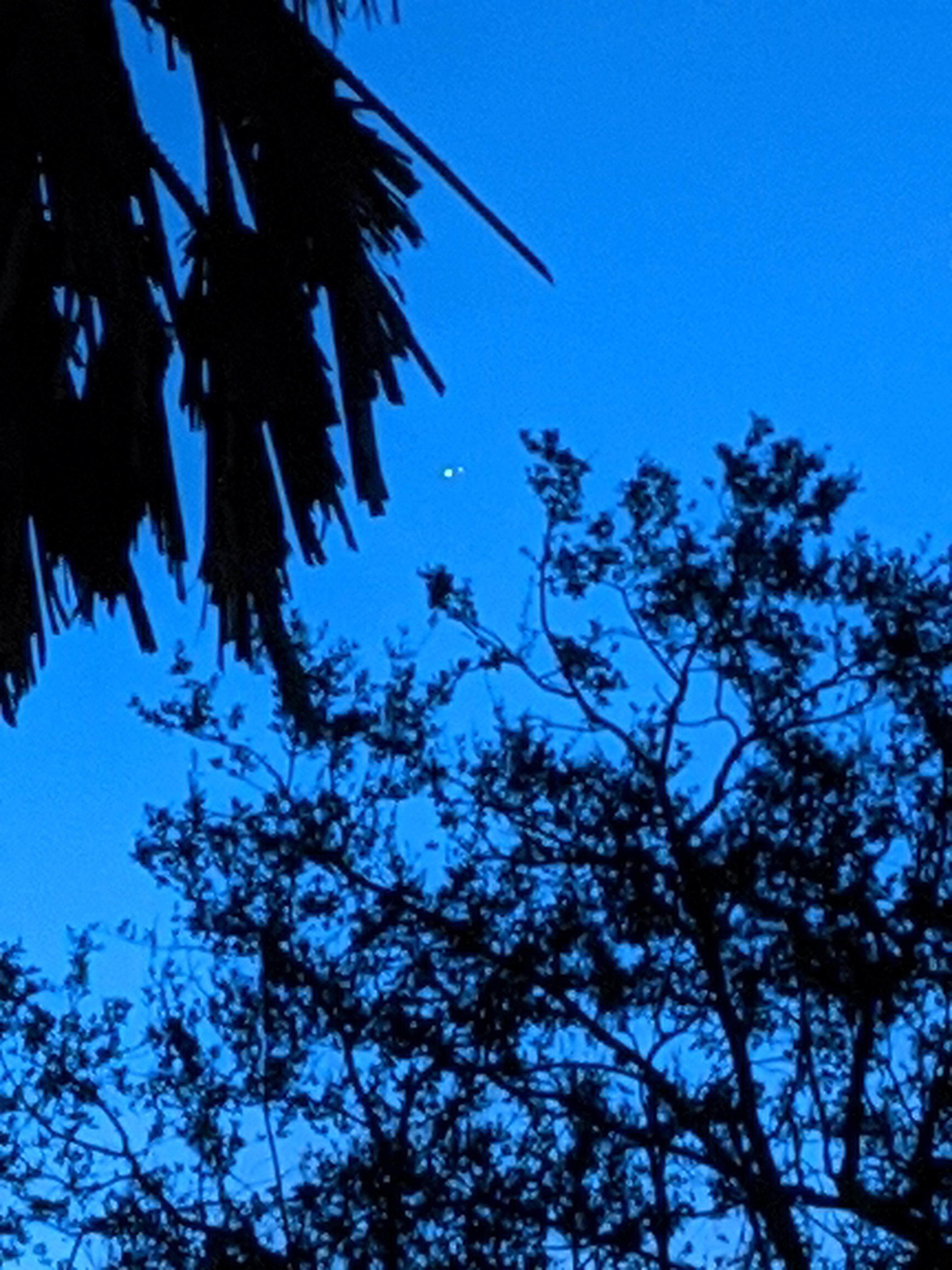 View of Christmas Star from Florida r/mildlyinteresting