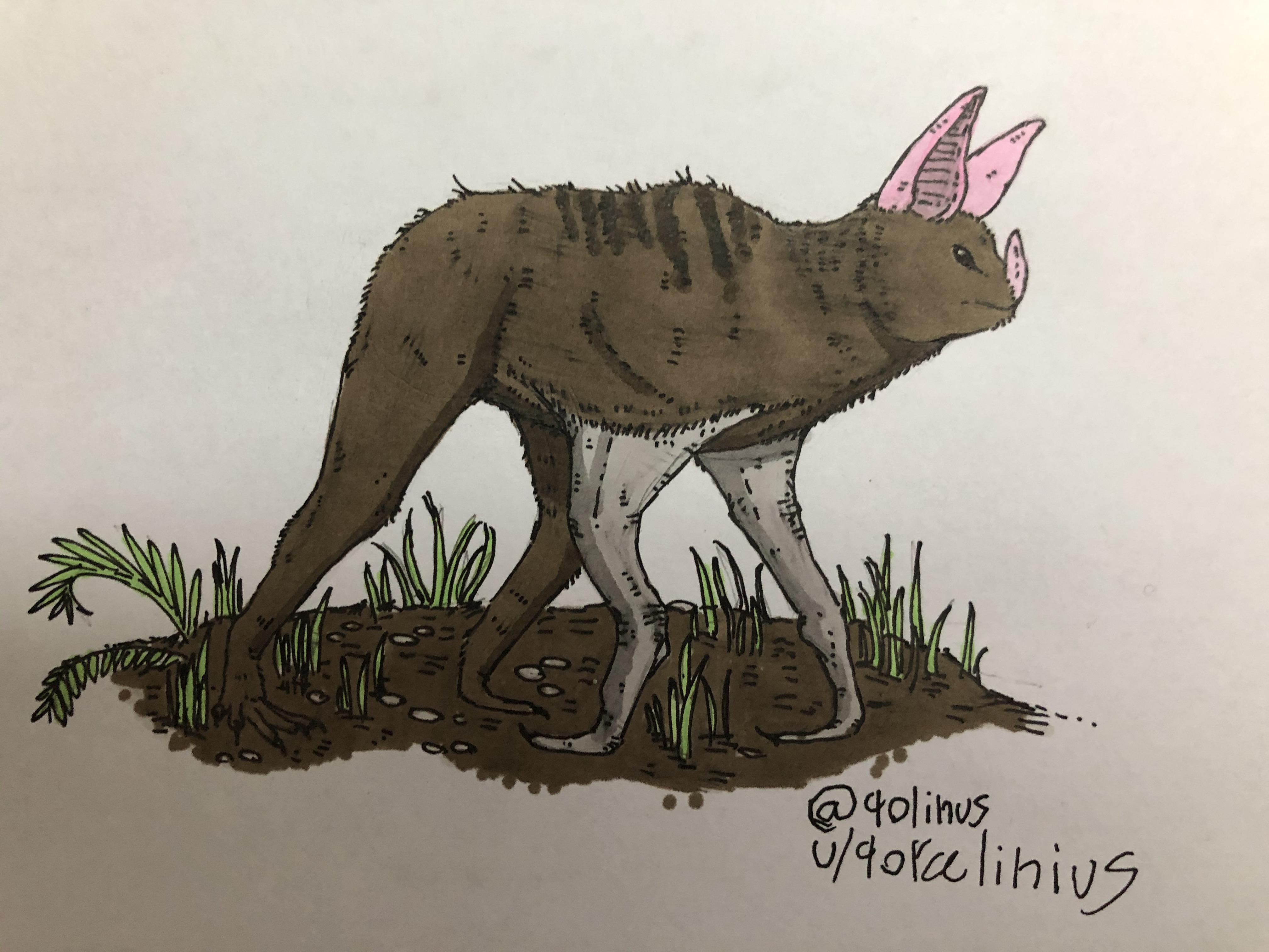 The mantis bat (info in description) r/SpeculativeEvolution