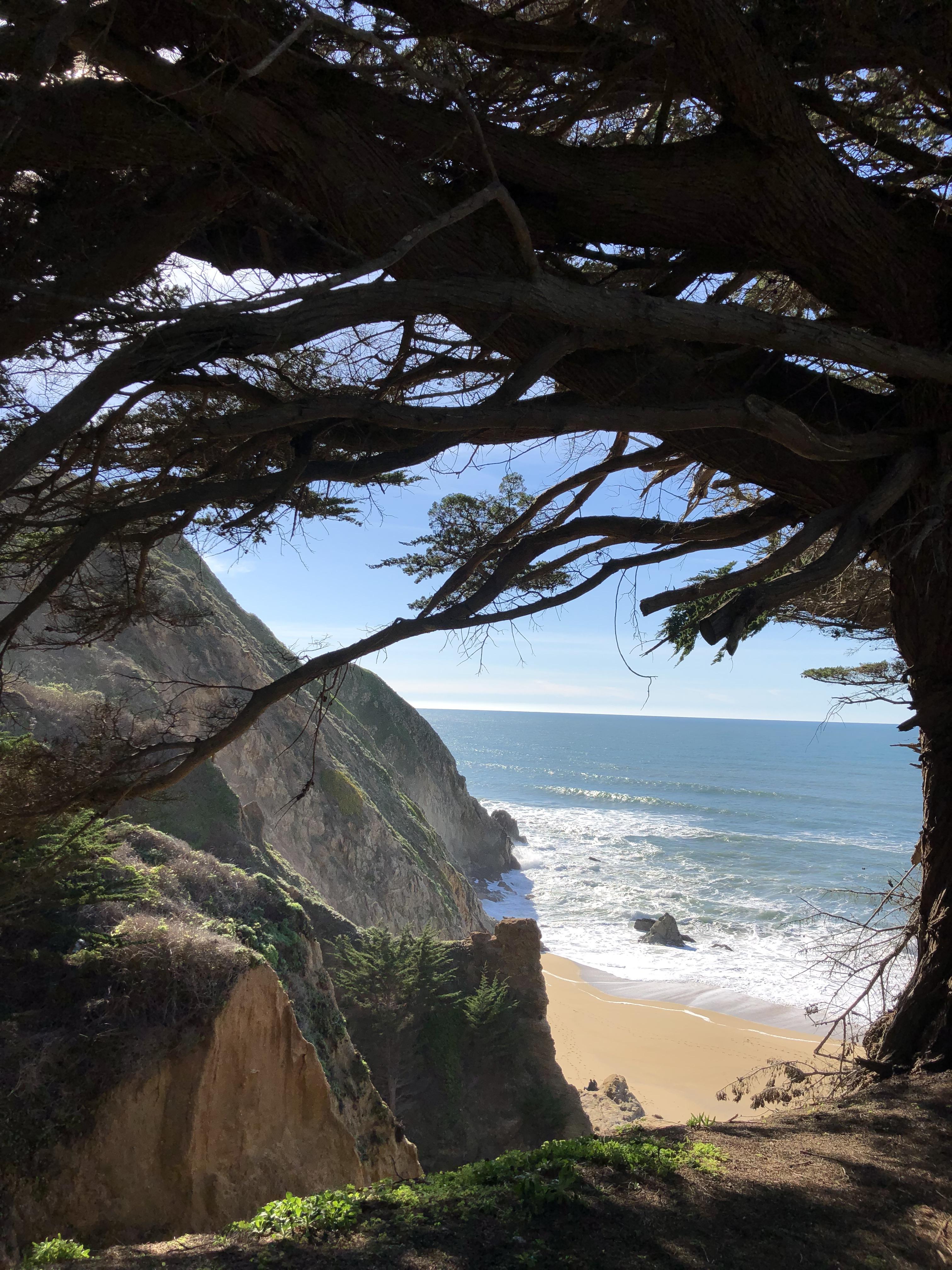 Pacifica, CA r/Outdoors