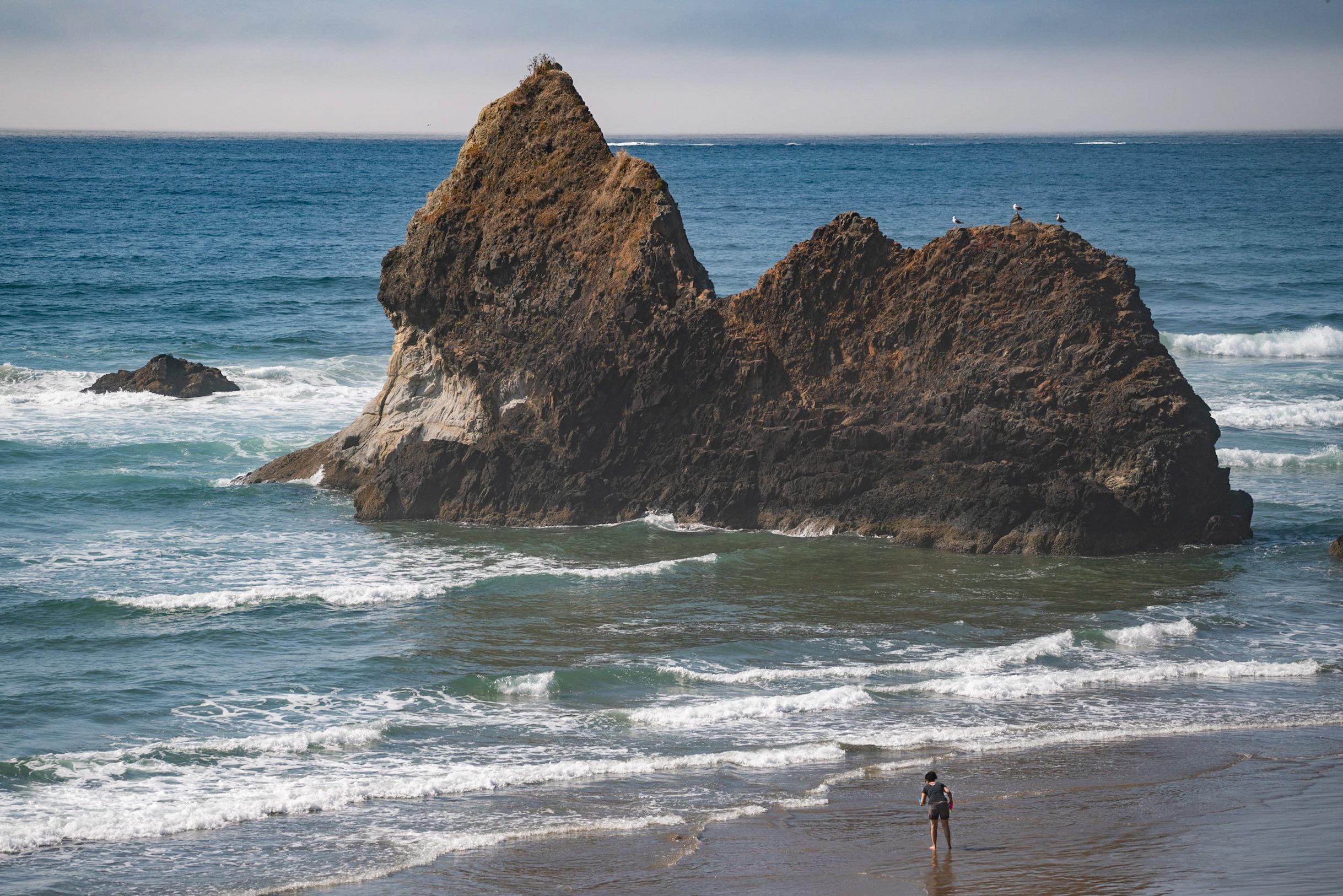 This rock formation on Arcadia beach. r/oregon