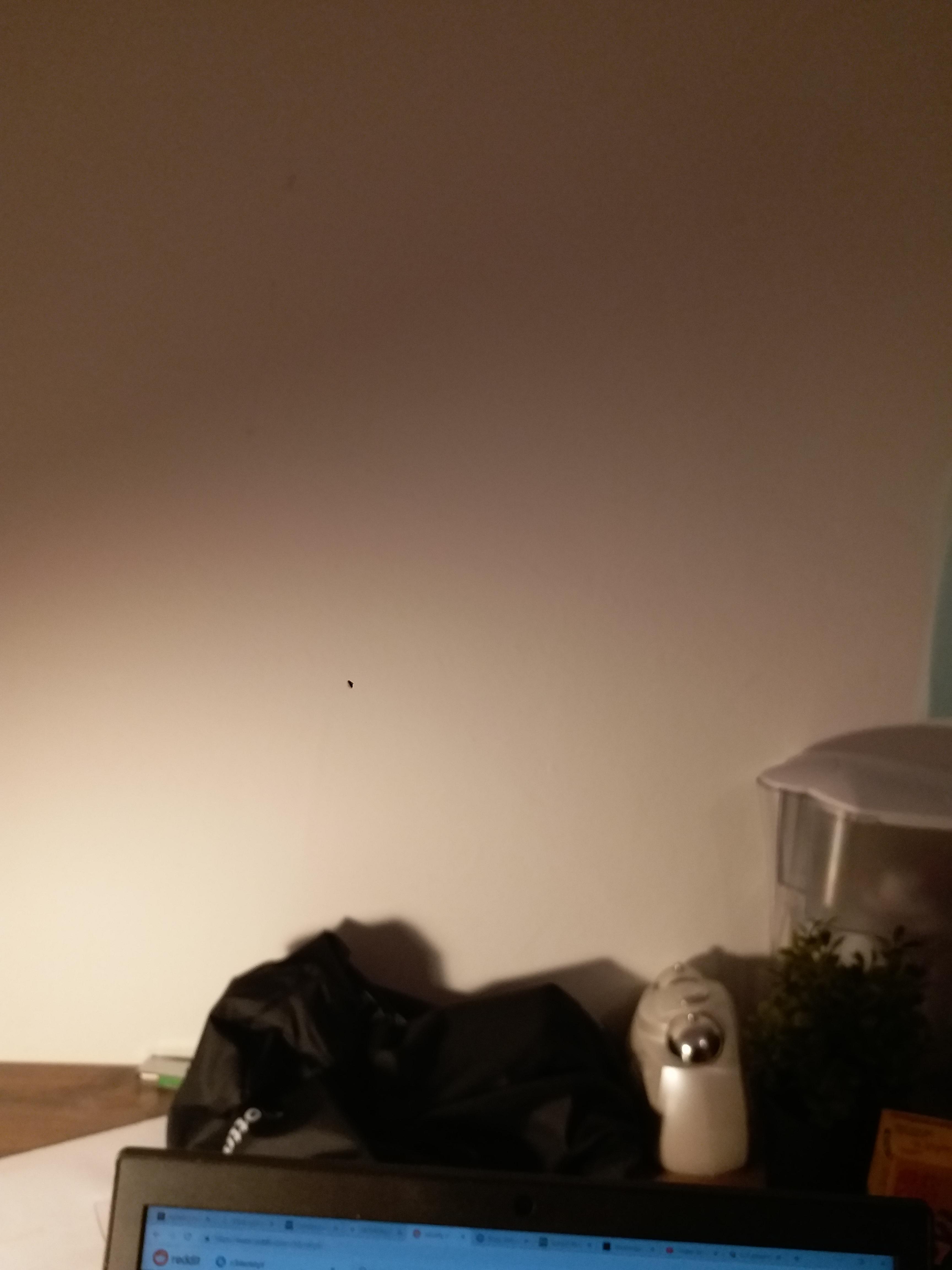 black spot on phone camera, is sensor damaged or dust/bits in my lens