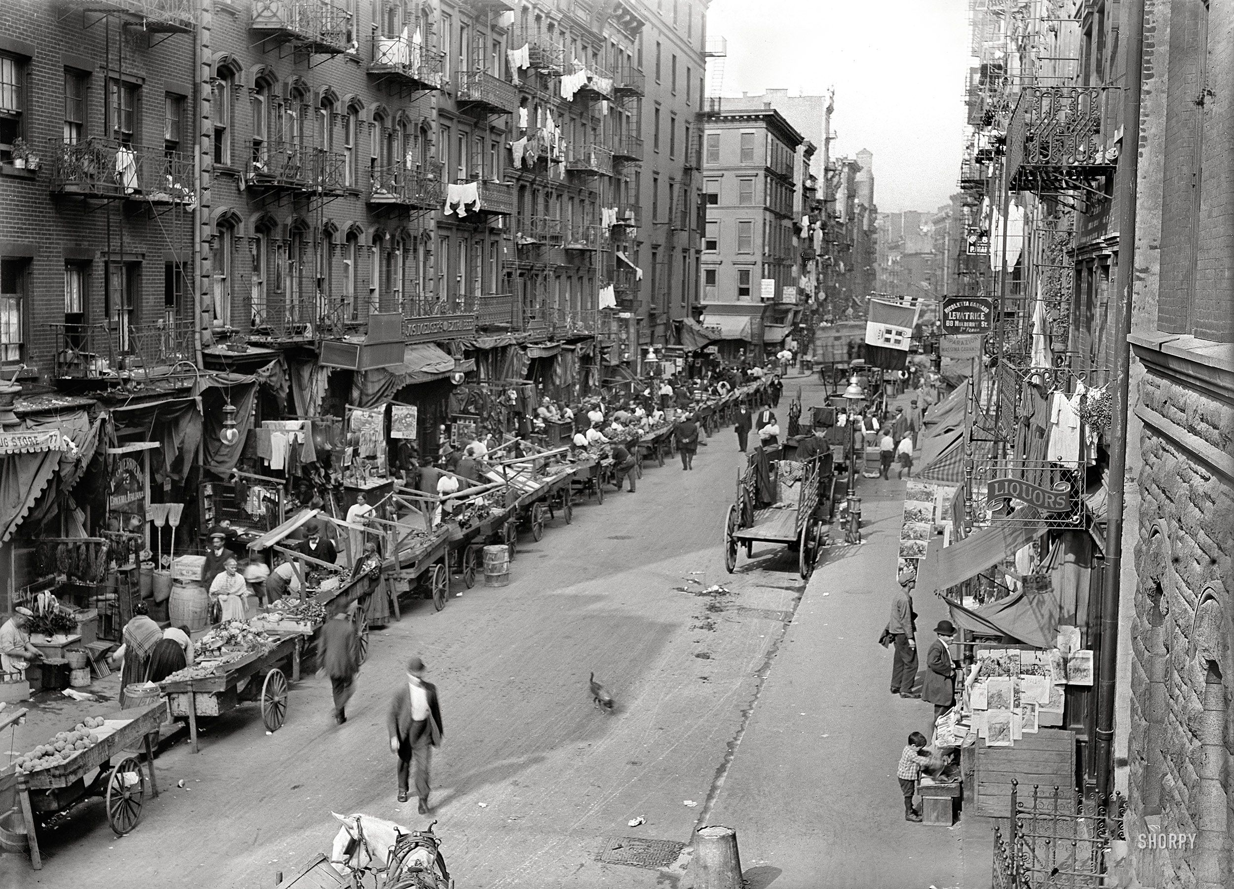 Mulberry Street, NYC, 1905. Mafia