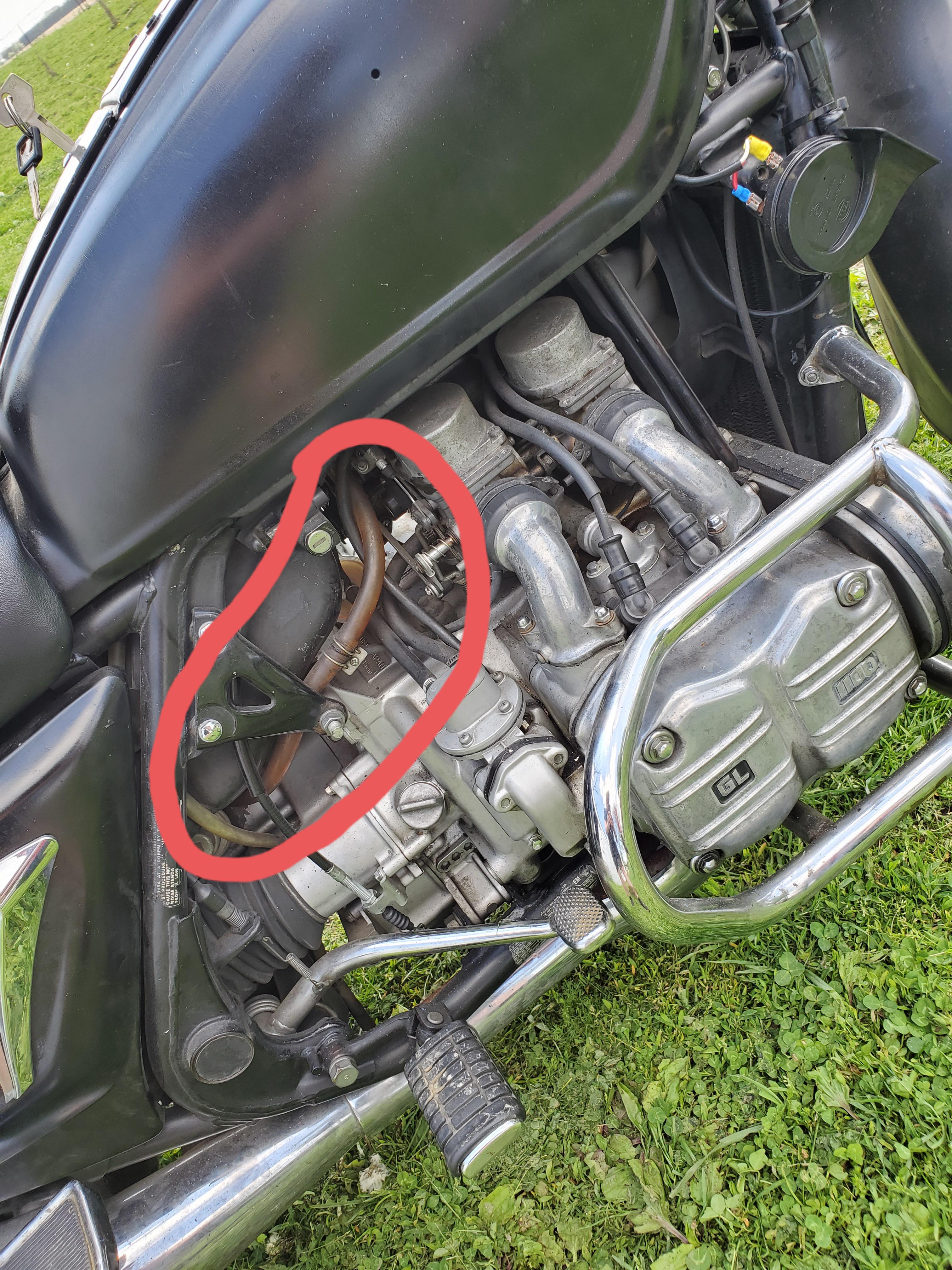 Just bought my first bike, a 1983 Honda Goldwing GL1100. Can anyone