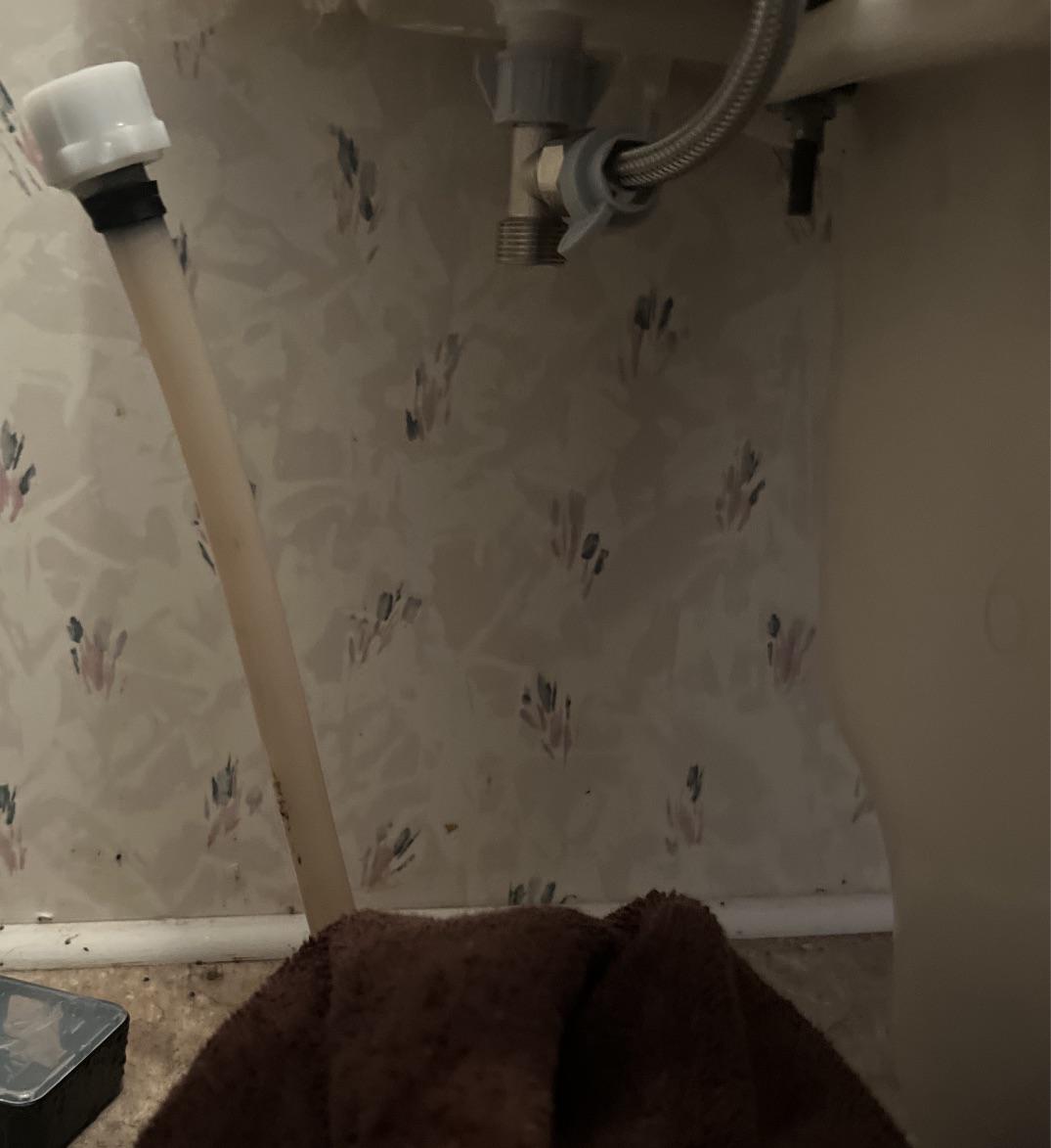 How to replace this toilet supply line? r/Plumbing