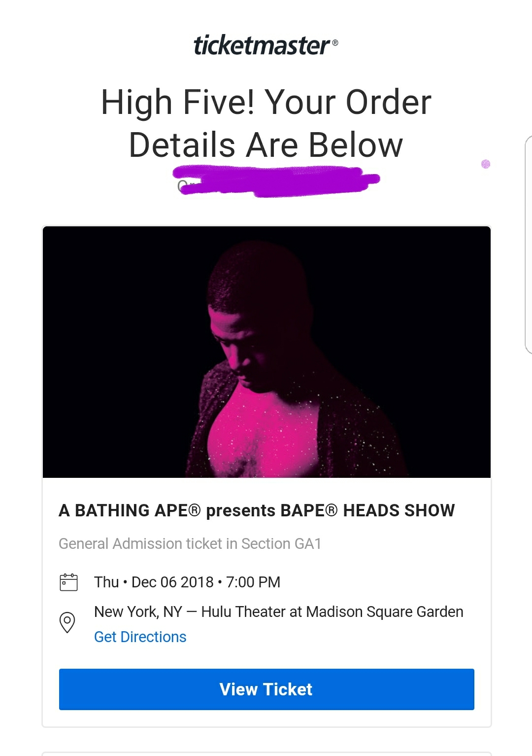 Bape Heads Concert at MSG, out to see Kid Cudi the Goat. ⚡⚡⚡ KidCudi