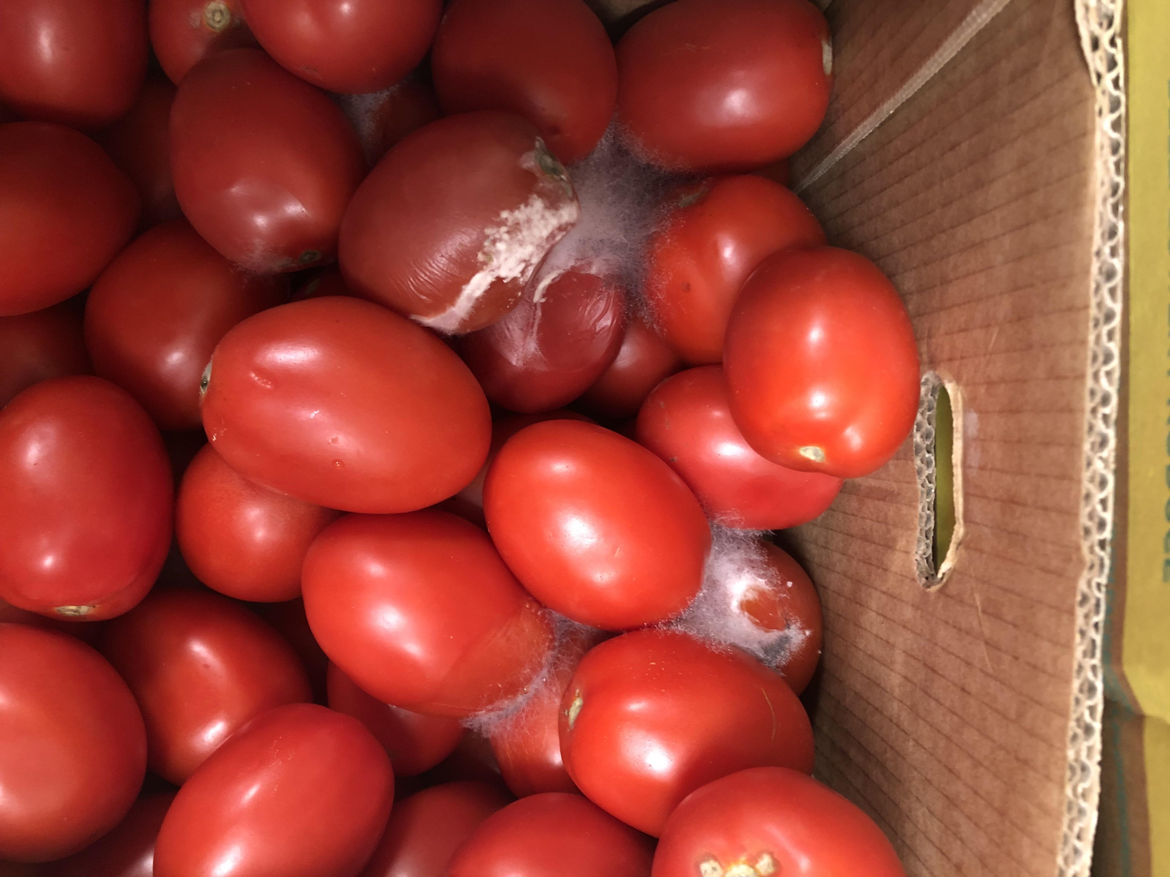 Distribution Rolling out the new “Colonized” Roma tomatoes r/kroger