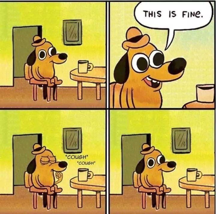 "This is fine" meme except it's really fine. template r