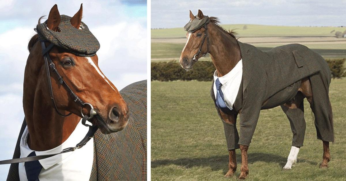 The Thomas Shelby of horses. PeakyBlinders