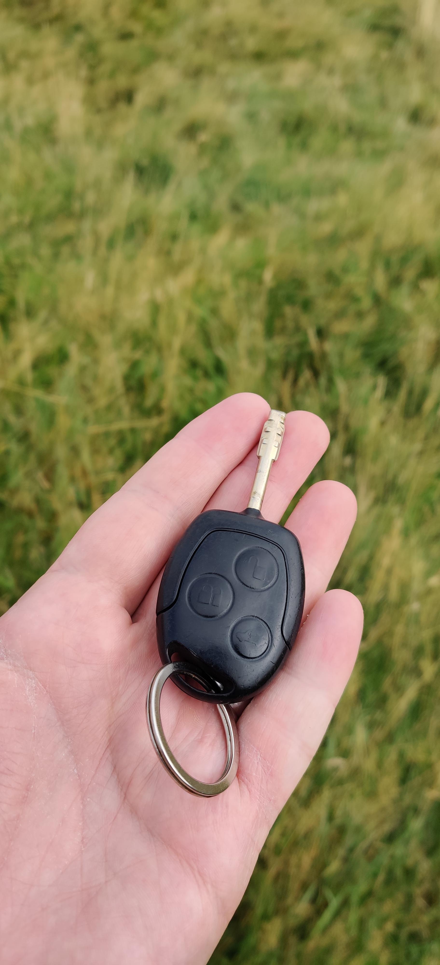 Found some car keys in Phoenix park if anyone lost it. r/ireland