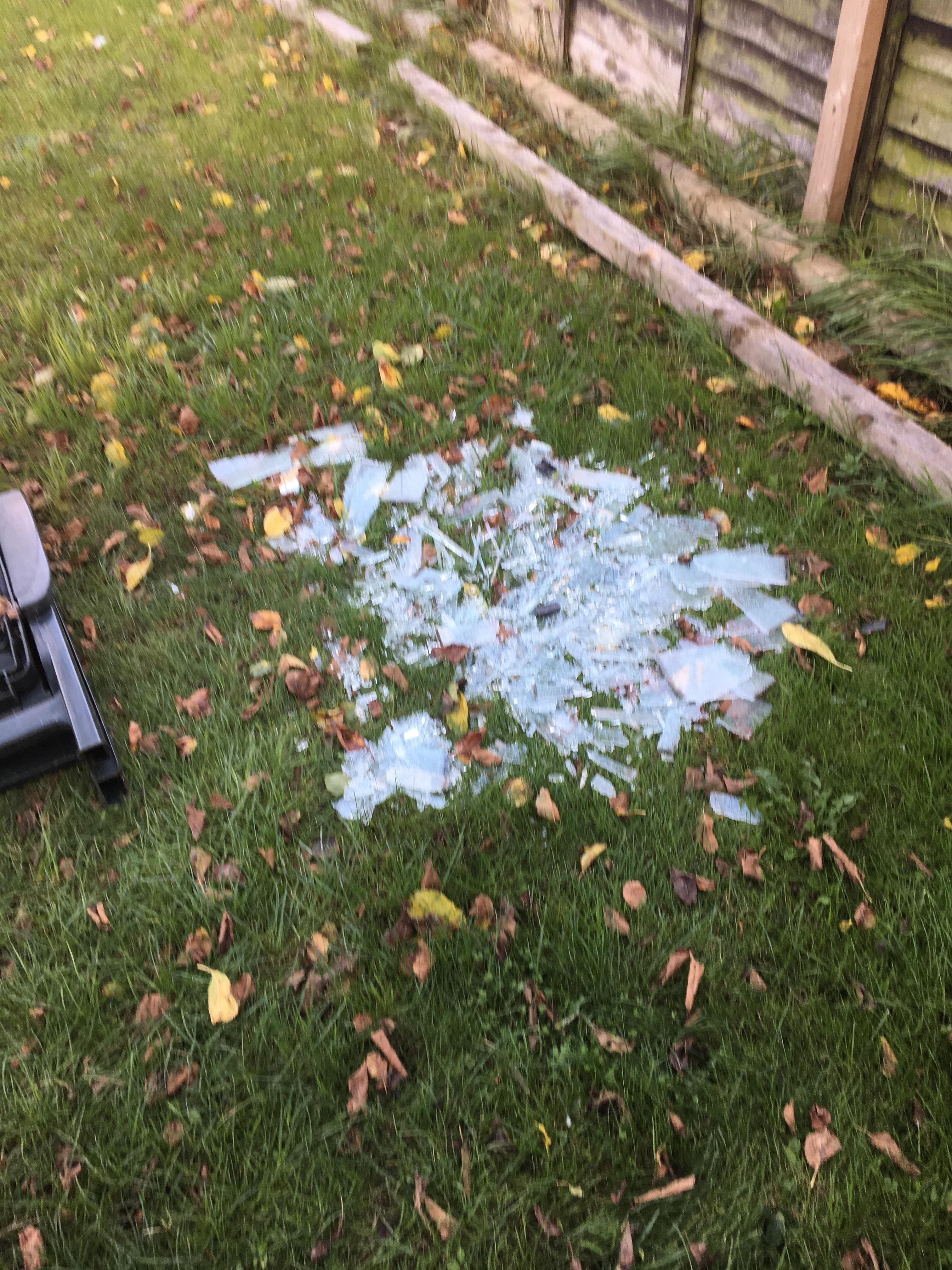 Glass on grass. After some winds, glass garden table went over and