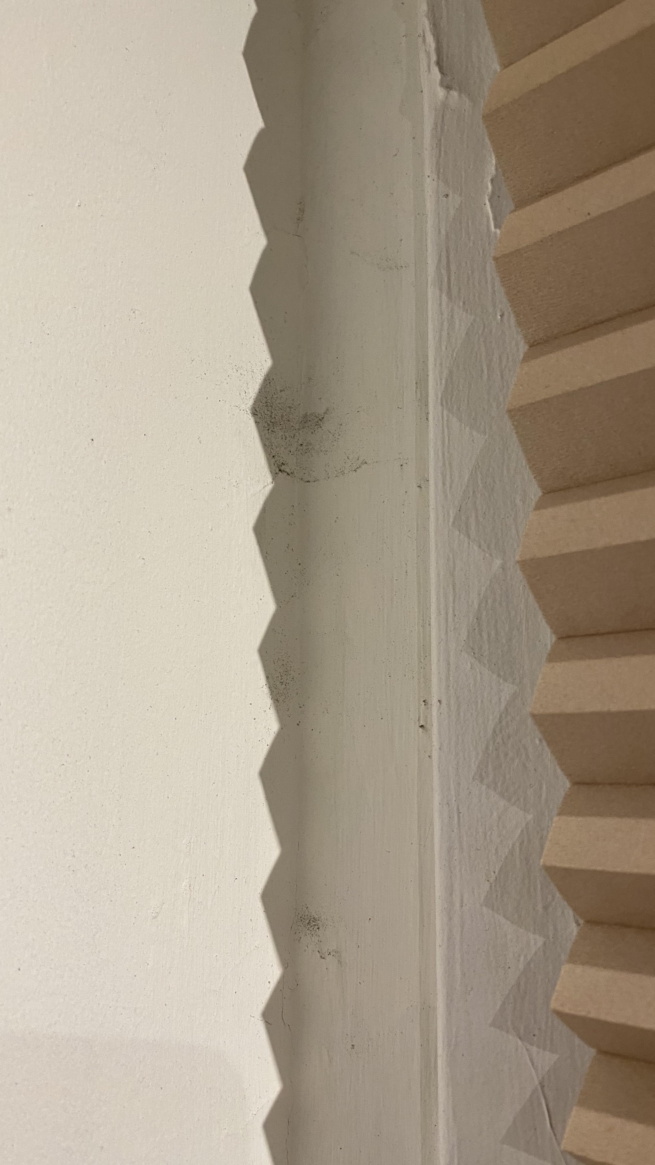 Is this black mold? r/Mold