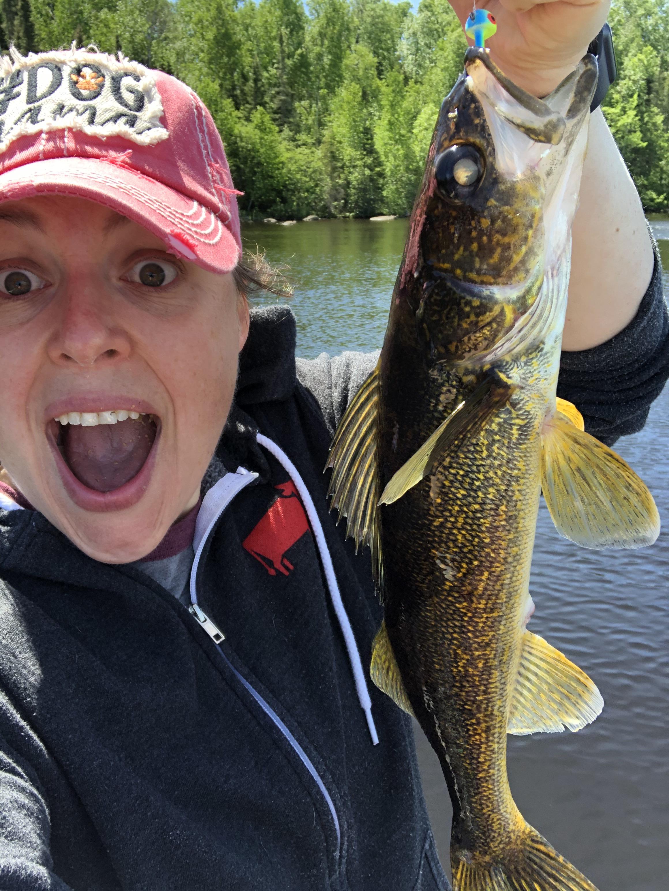 Pulled a few walleyes out of Birch Lake in Babbitt, yesterday. r