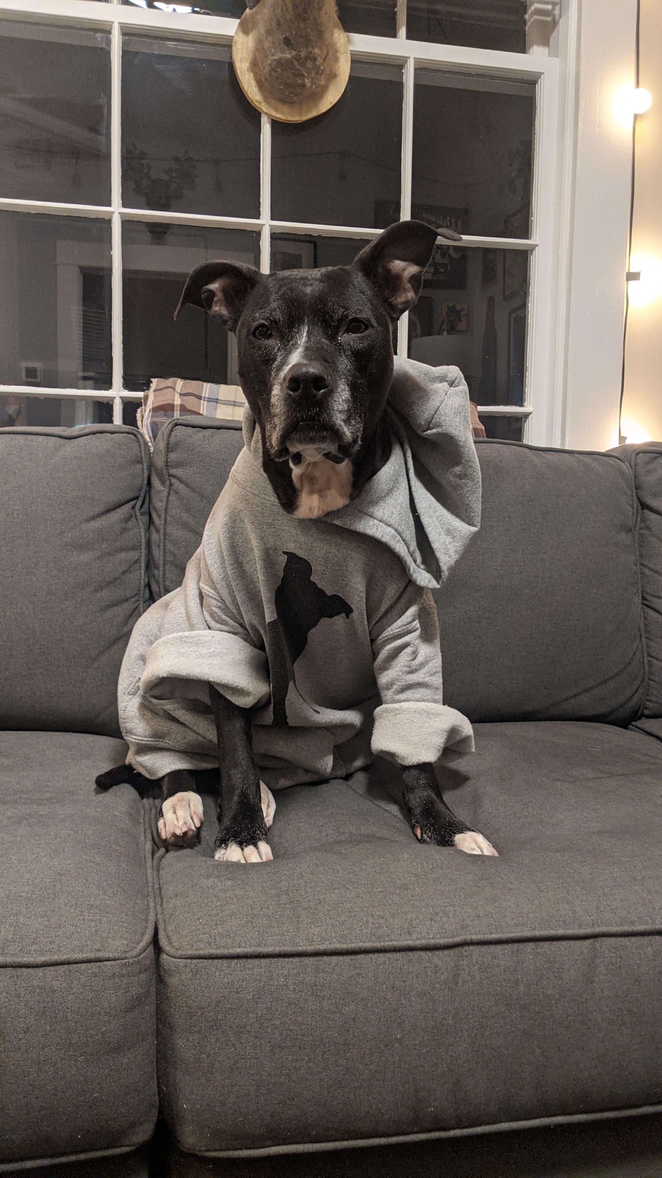 Smoph (u/Smoph) - Reddit