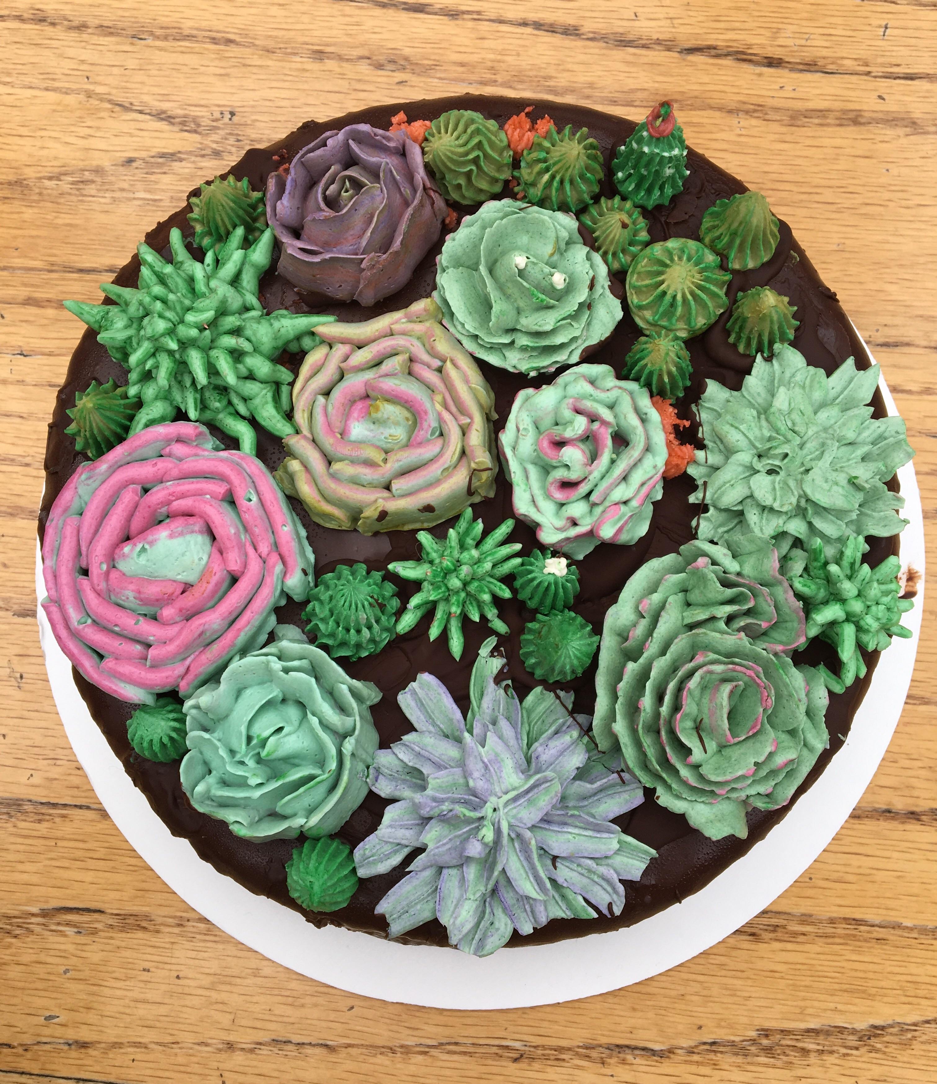 Beautiful succulent cake my friend made me for my birthday! succulents