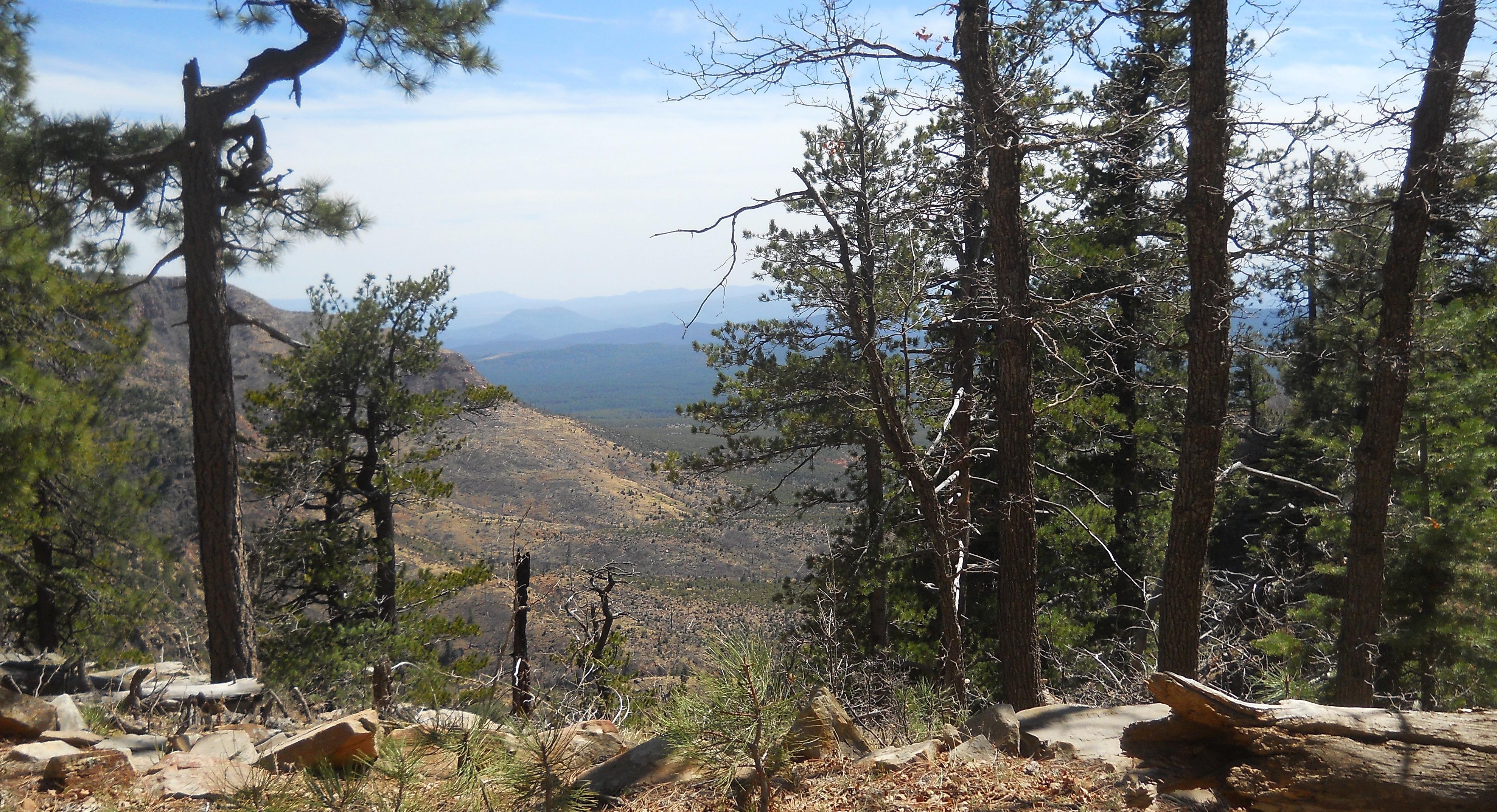 Mogollon Rim r/arizona