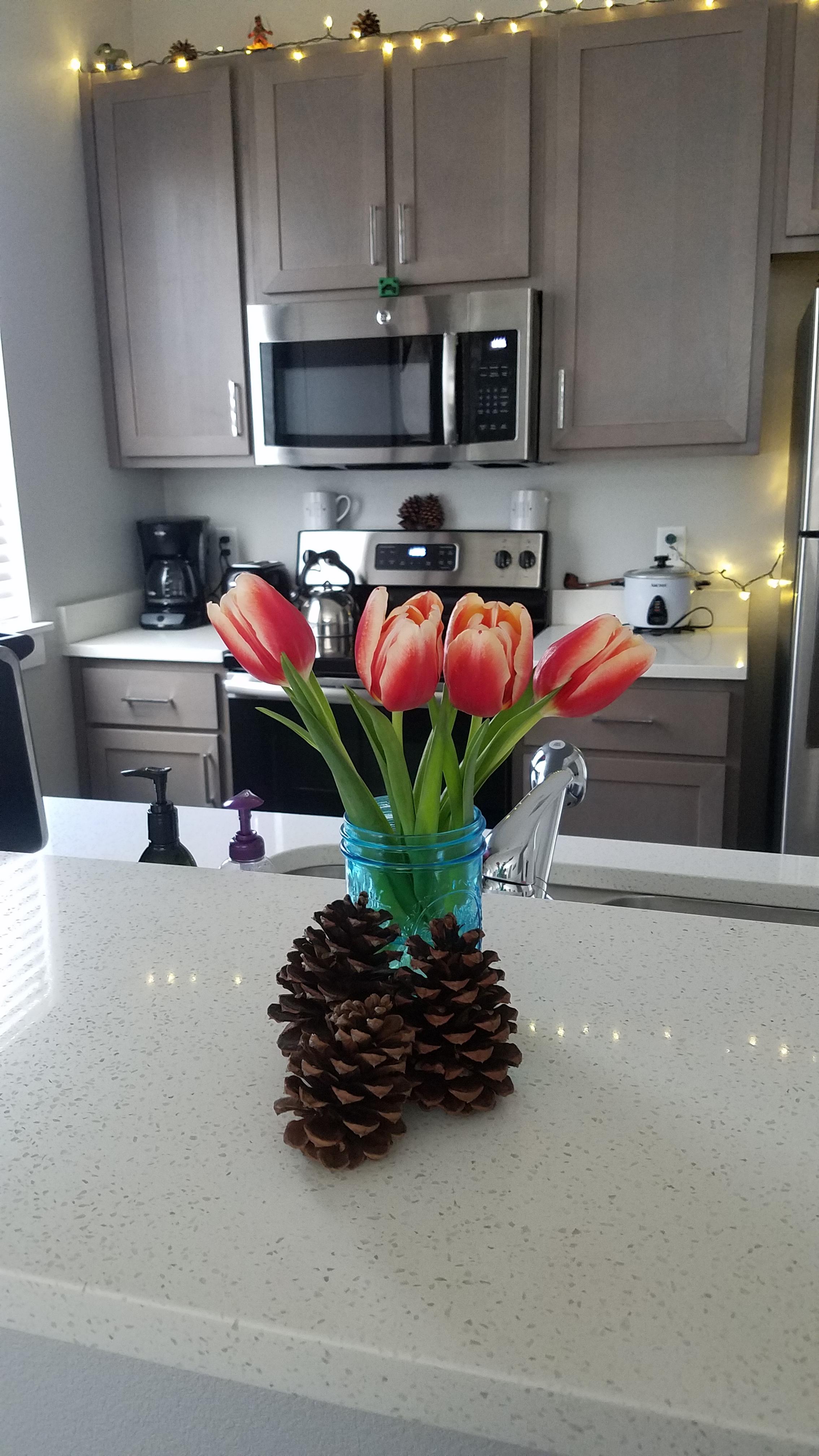My husband bought me these beautiful flowers for Valentine's day! Such