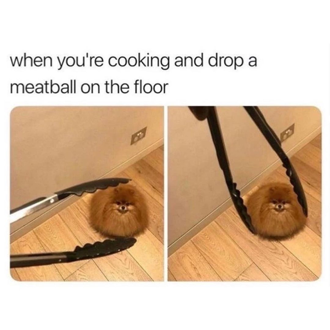 a spicy meatball memes