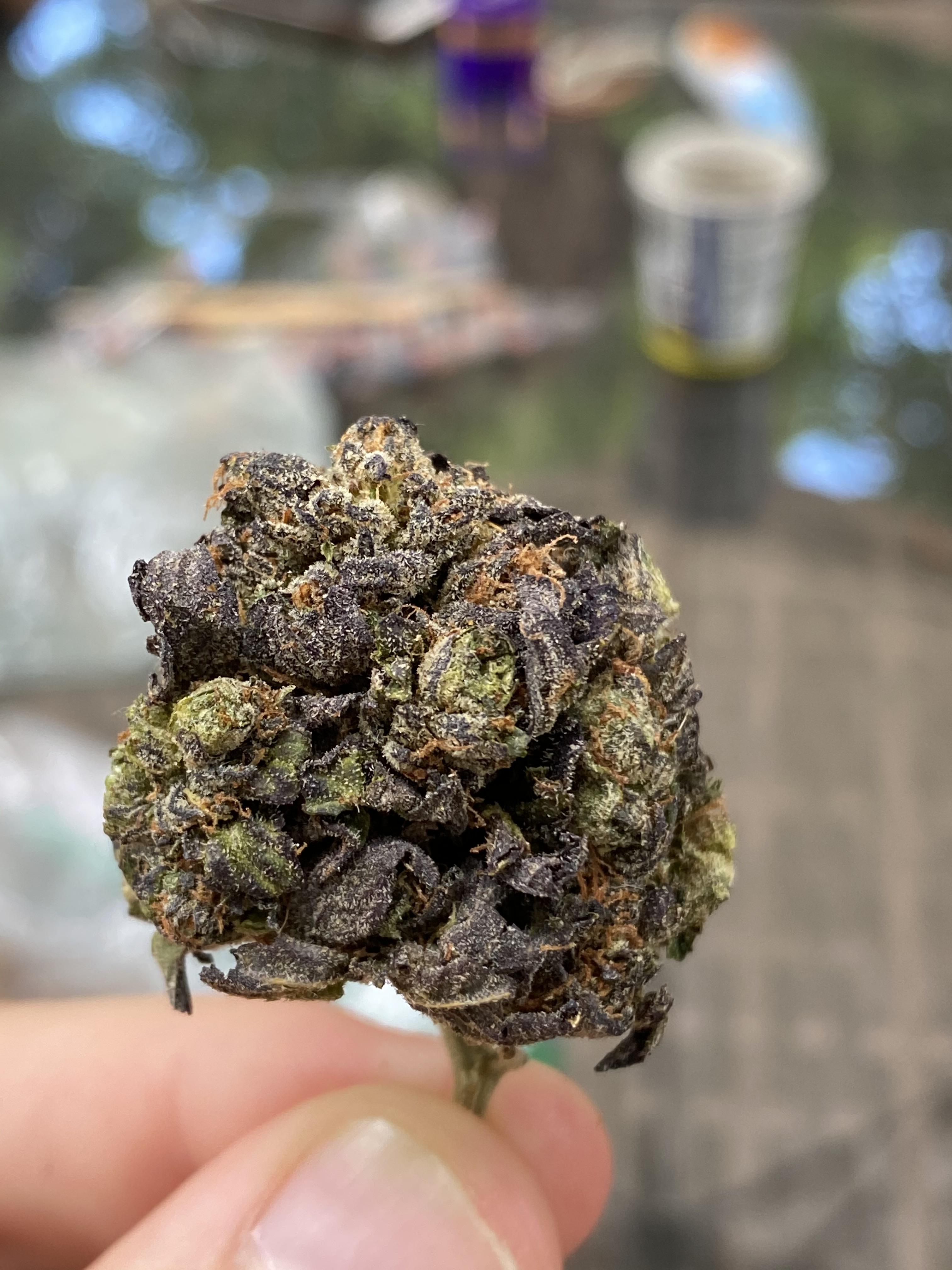 Strain is Pink Cookies, colours are wild. r/trees