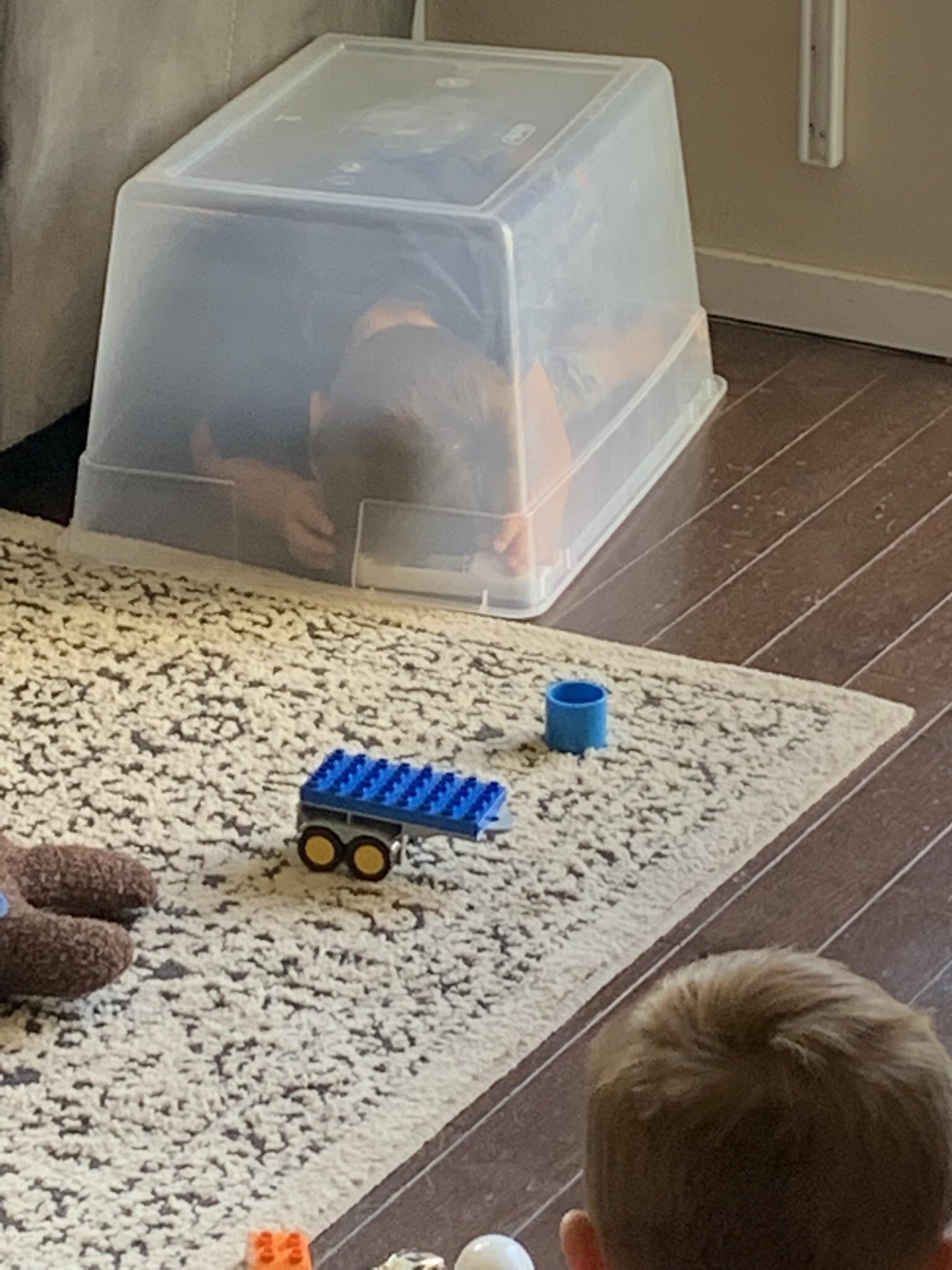 My sons latest attempt at “hide and seek”.