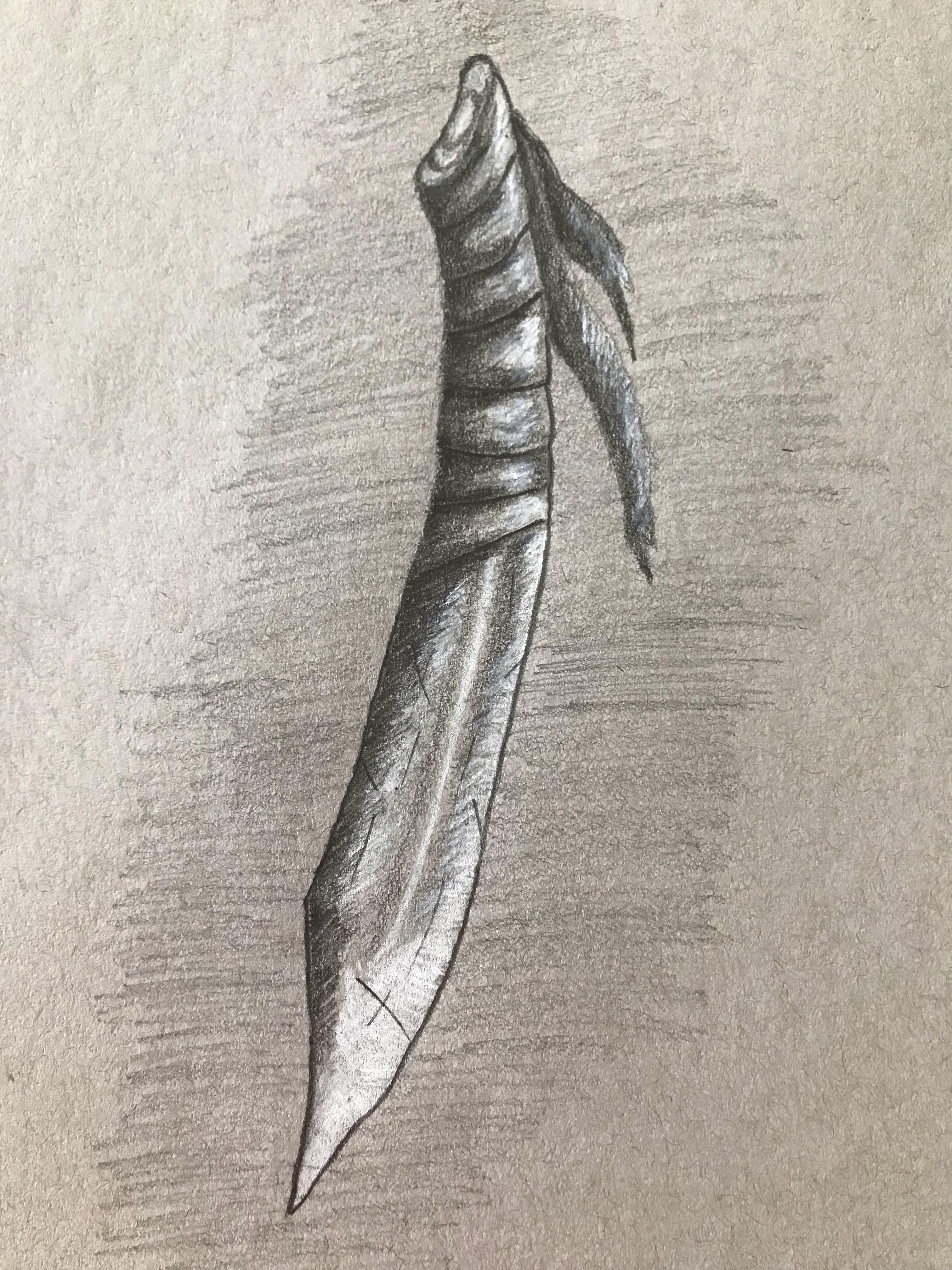 Drew a knife, graphite and white prismacolour pencil! r/drawing