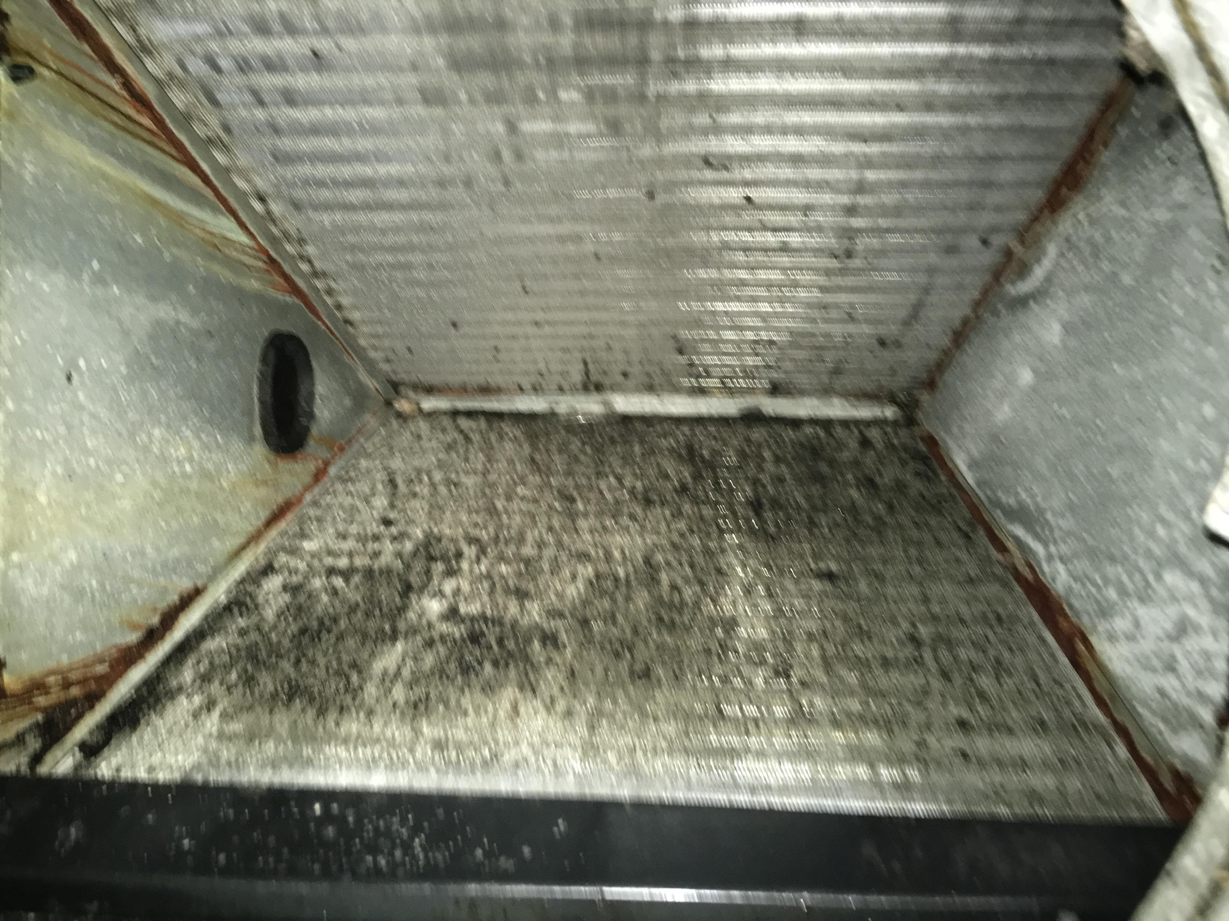 Mold? Any to clean inside my "A" coil. r/HVAC